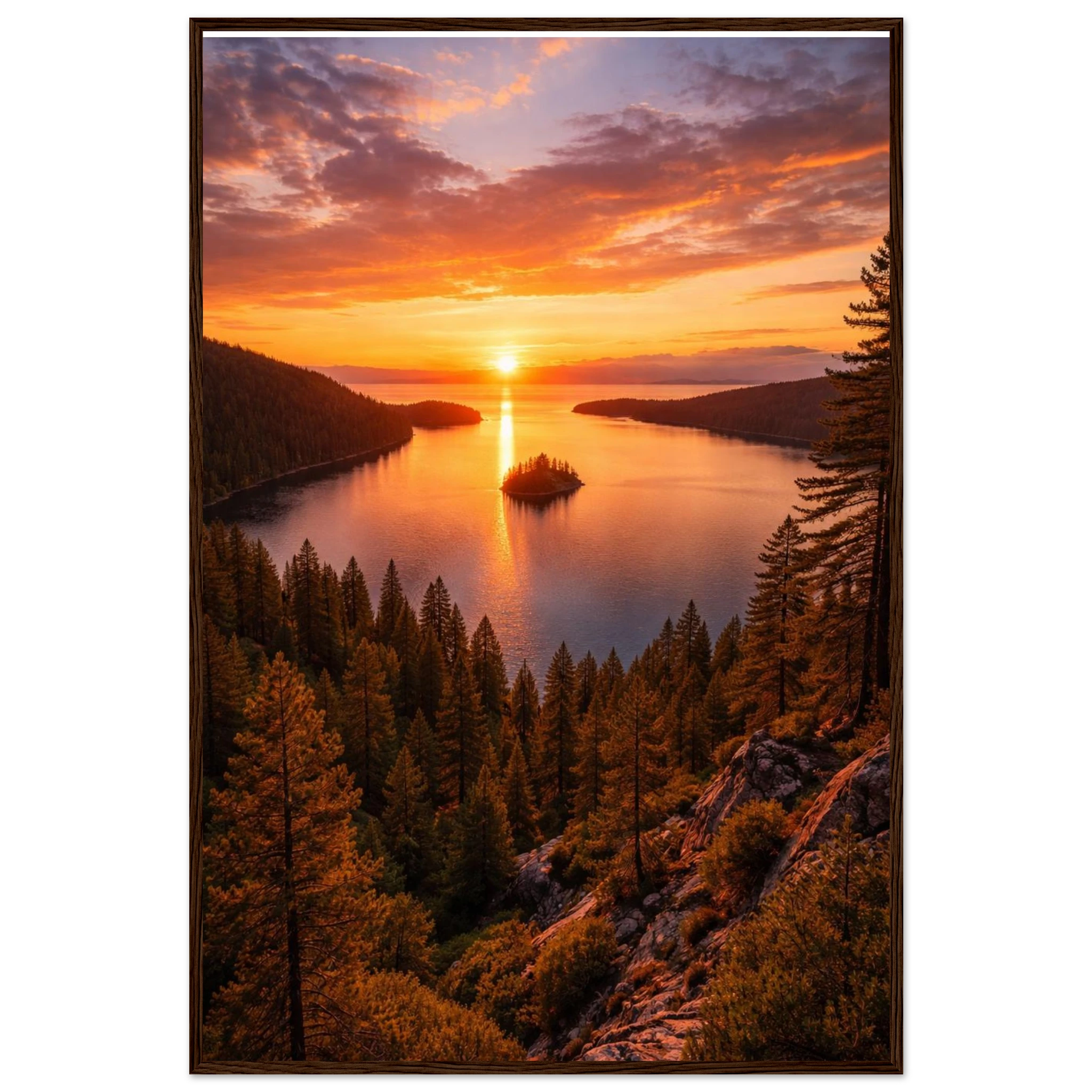 bb441ee4-ef18-4206-94d6-a9c3e03a170b