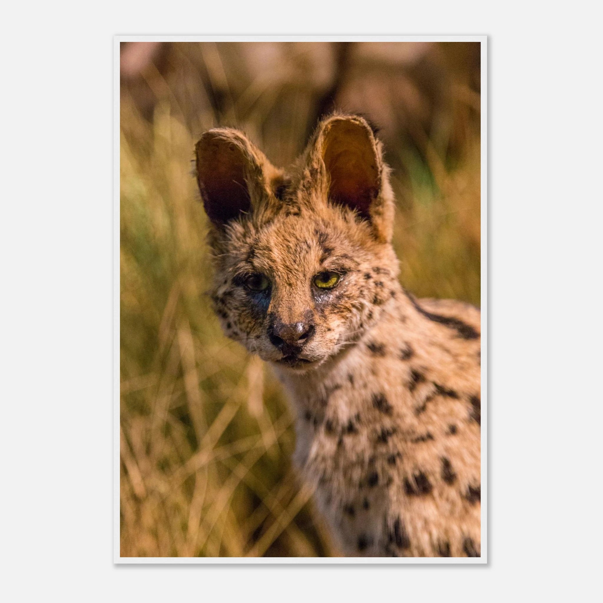 bb71ba0c-50b9-4ca5-aeb6-5b4a41156f6a