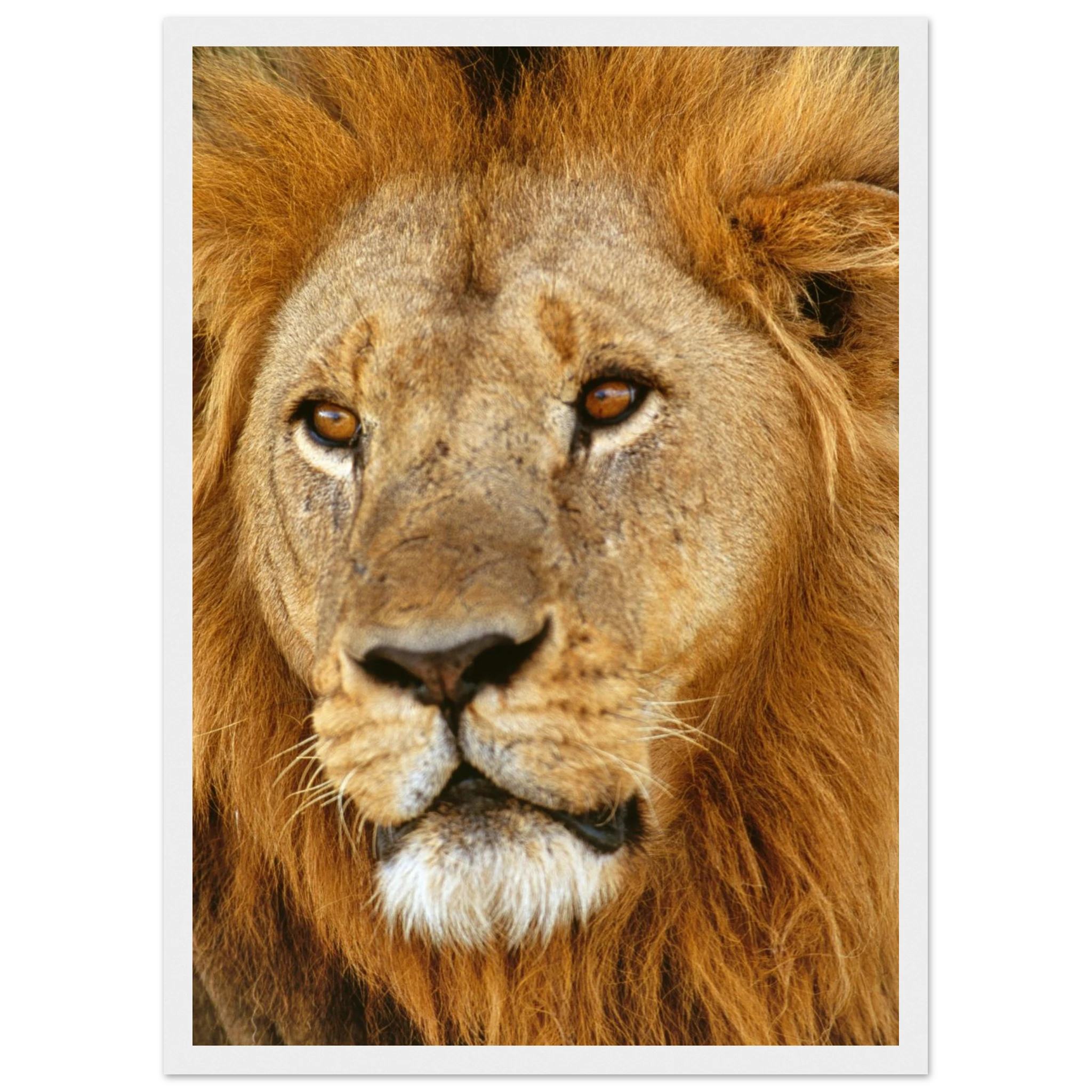 bba6cc88-d954-4995-bc17-48e2a058de58