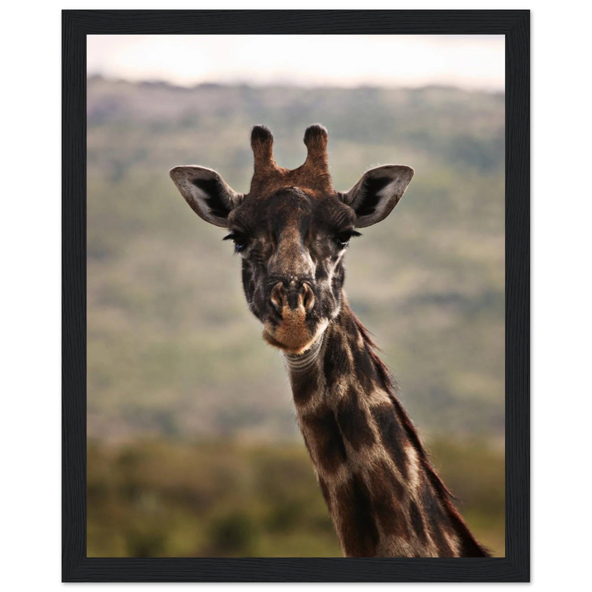 bbacbc7c-07c9-4192-8cfa-16060cbaca76