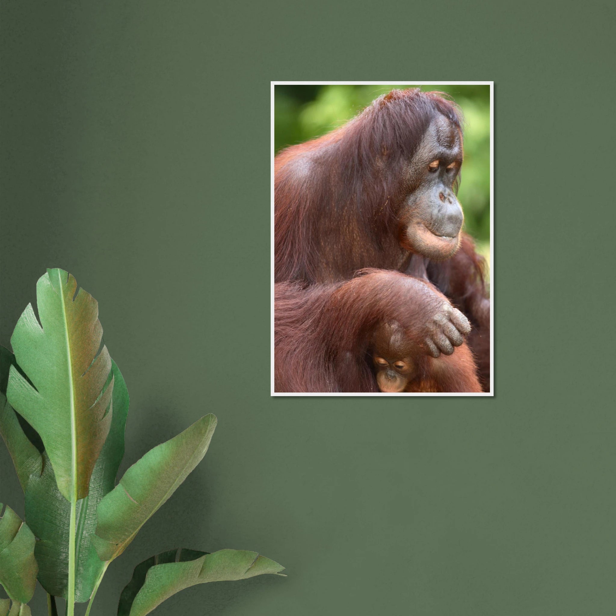 bbd01e23-99f5-421f-9bad-bd060de7d308