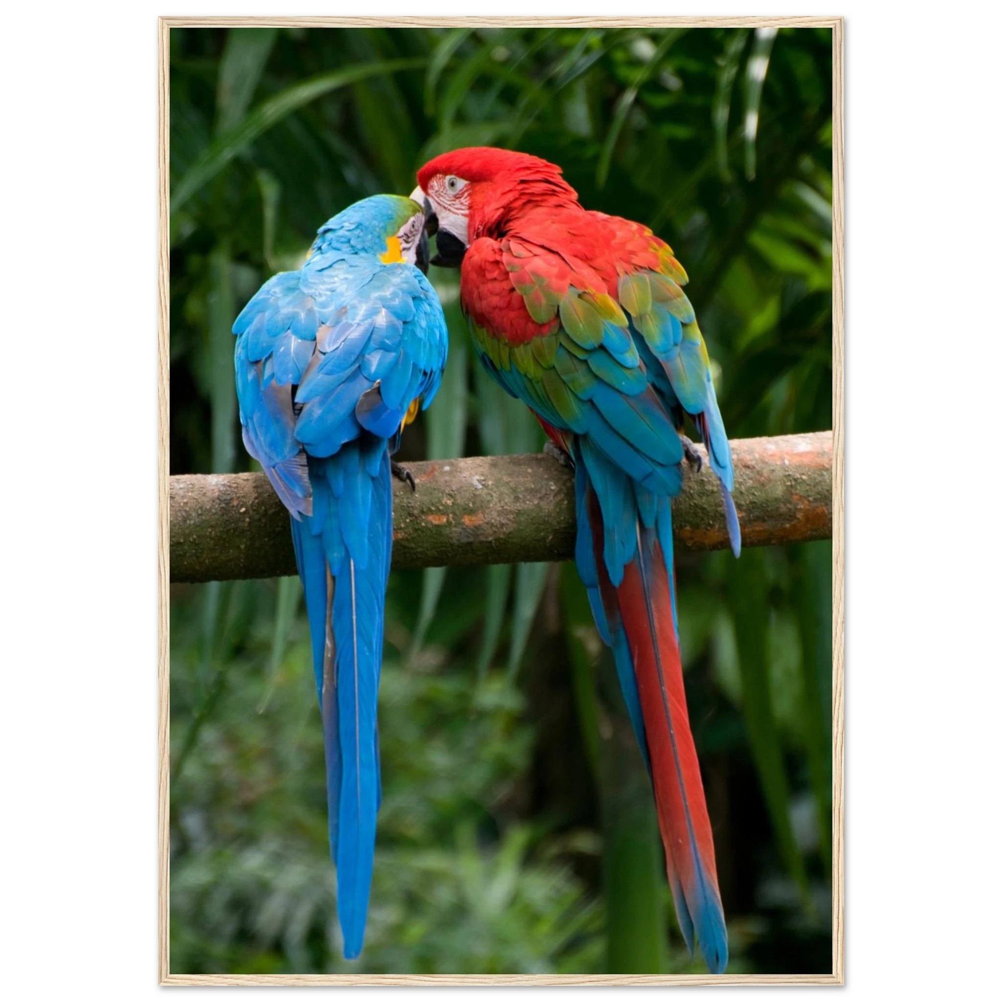 bbd540d8-b422-4137-be2e-3cd1d41403c5