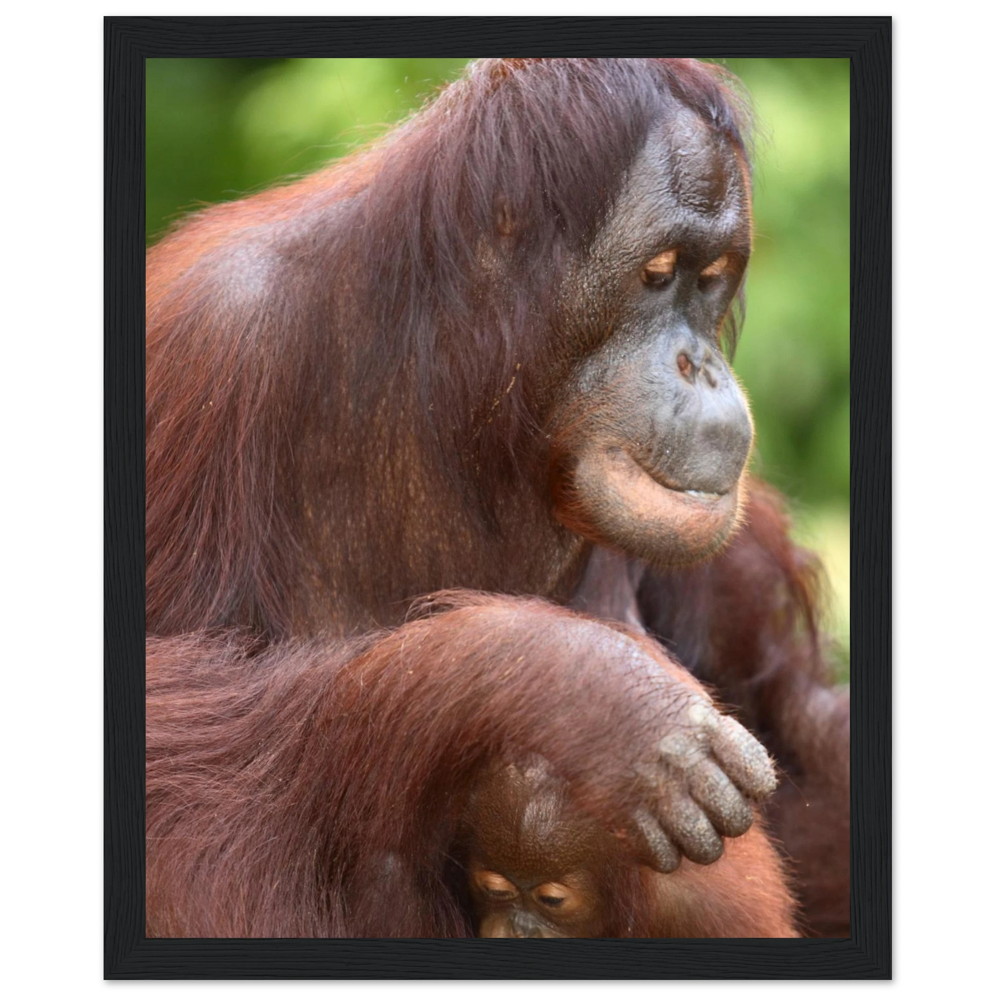 bbdf8b8e-e84f-42c4-a185-d765973a9090