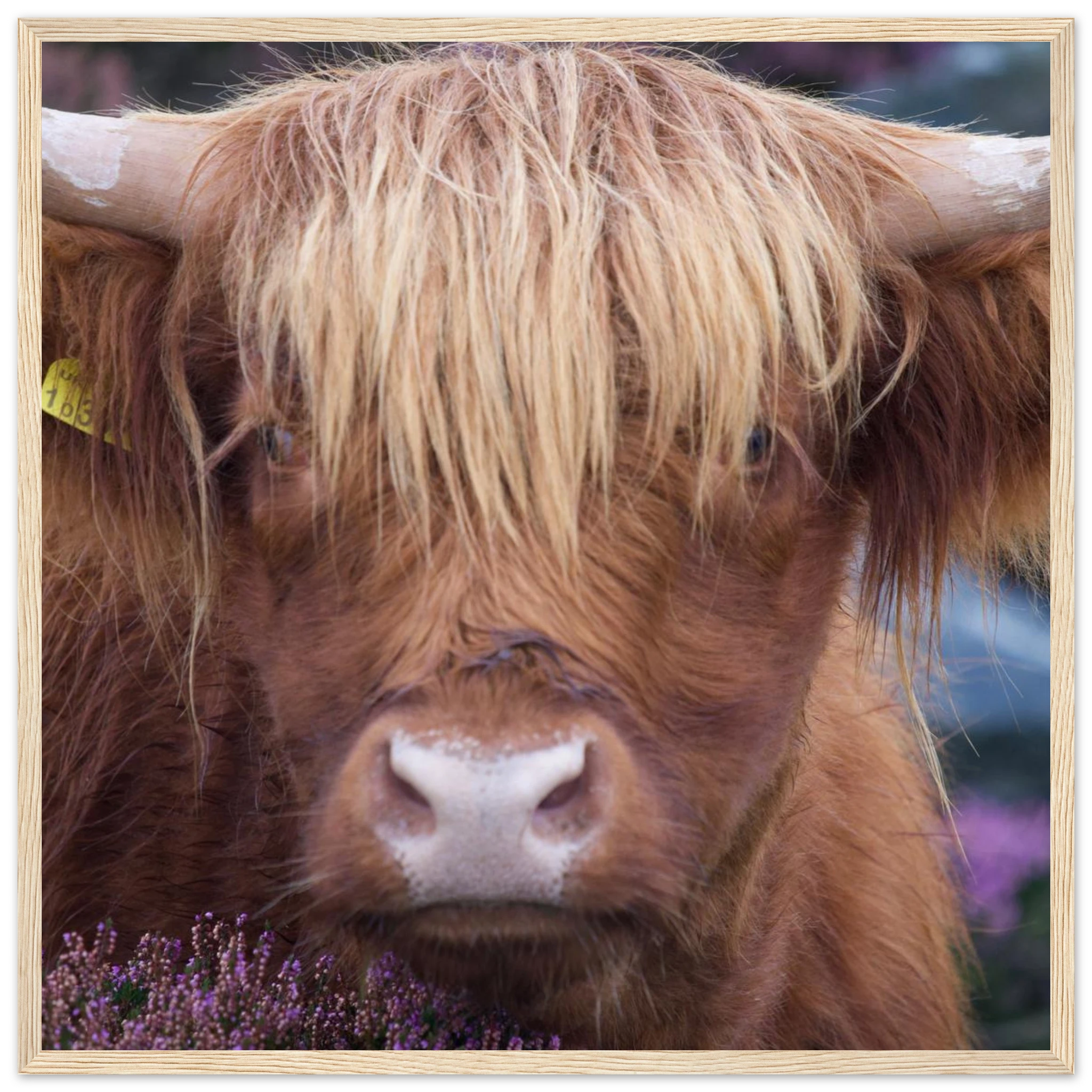 bbf34b2f-40f7-4ca6-8bea-900682bed35a