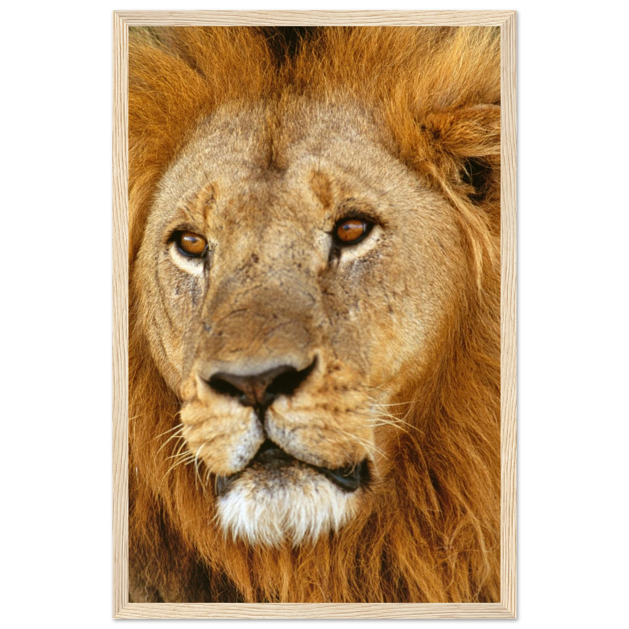 bc0c3ecf-16b5-42cf-b1f7-27817c22ec80