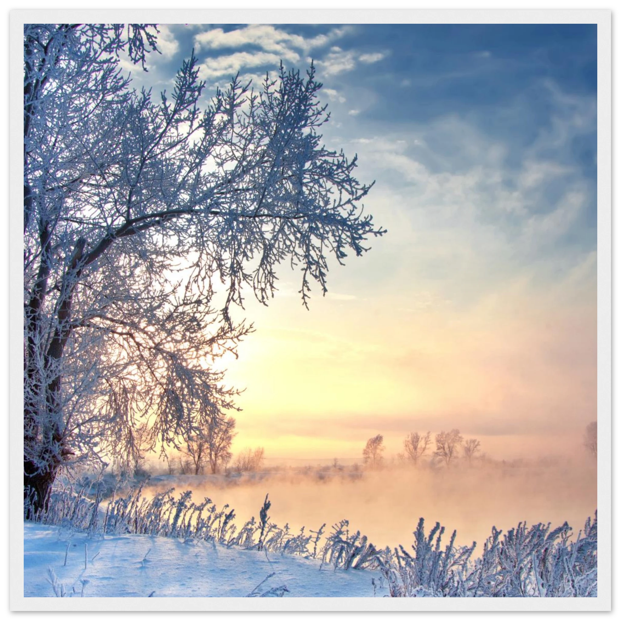 bc5fa3e2-4dfc-4185-8148-ed0828bae659