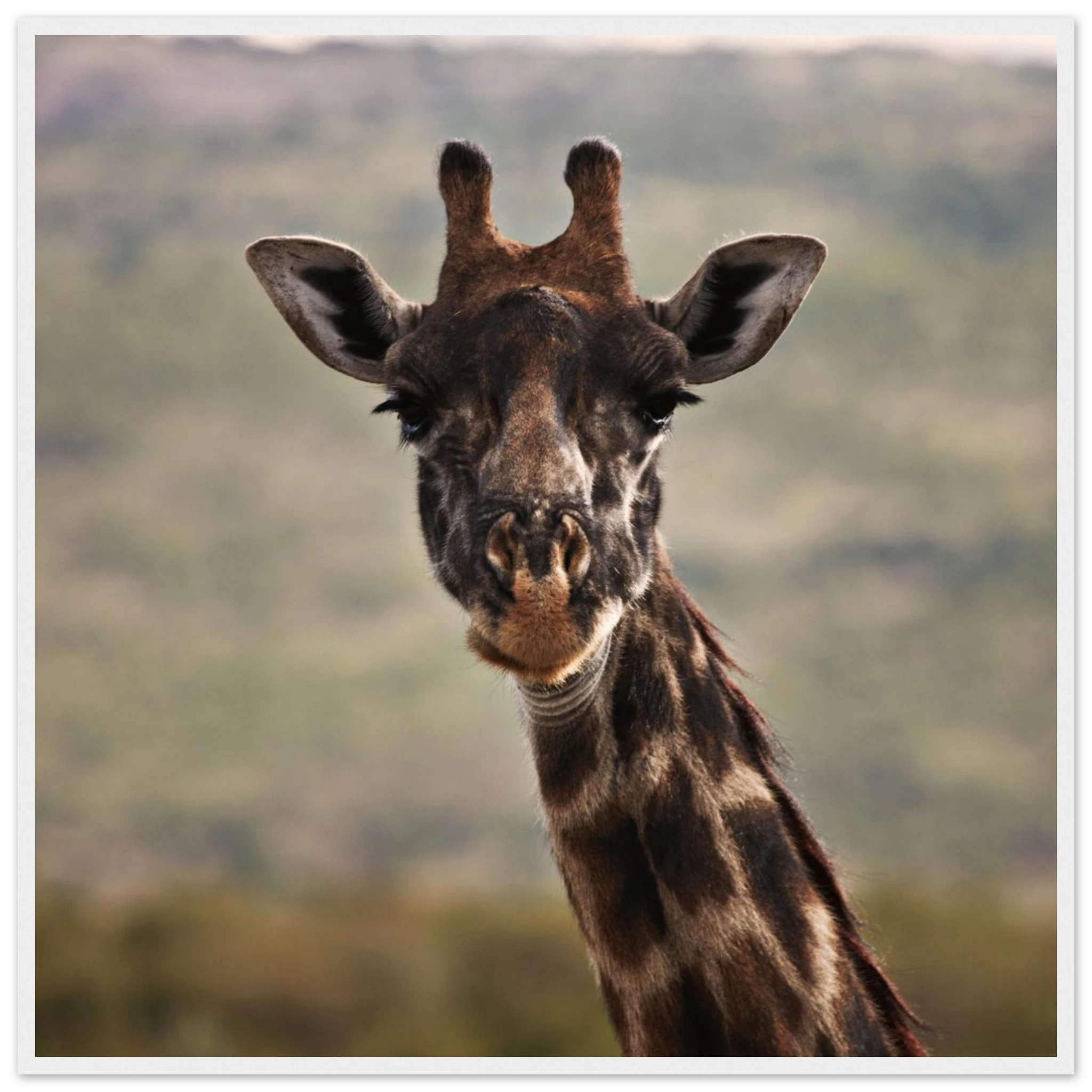 bc685198-0fe0-406b-9f74-9a0d125d521f