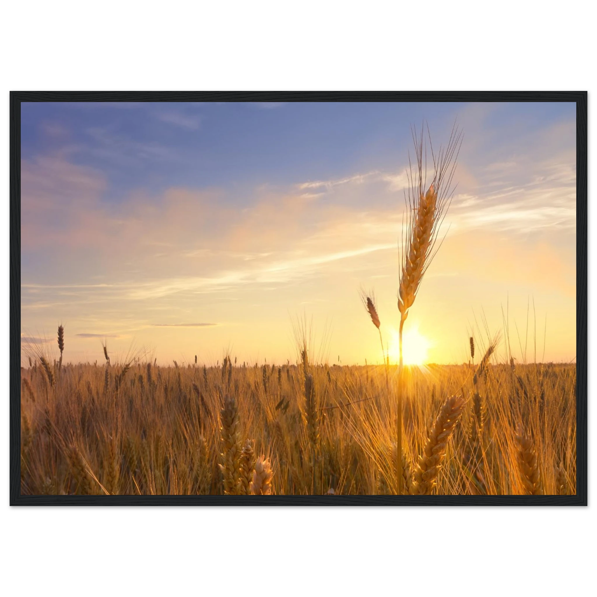 bc734171-a77d-4038-b692-53d13da16d2f