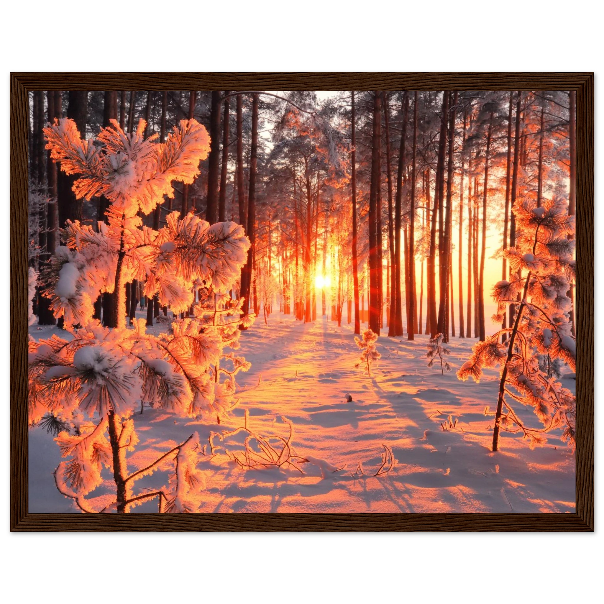 bcb04b1c-aee9-4e51-a7d3-eb276c94983a