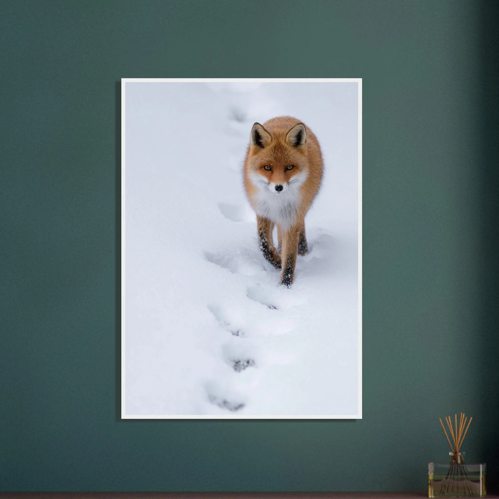 bcb6e338-bee4-4a6d-ba77-285df5a21e72