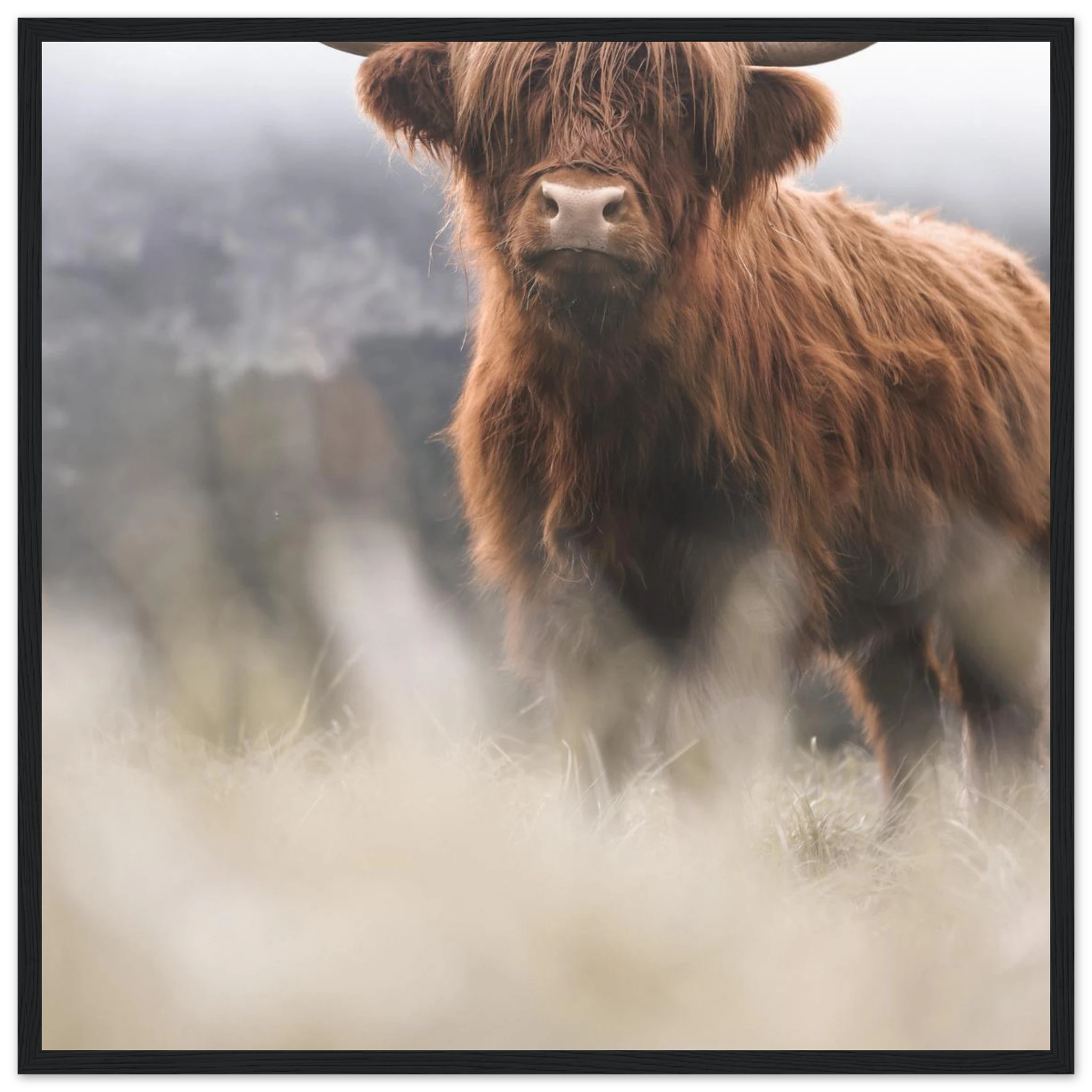 bcbefd18-14da-4de2-9e6a-61e110cfaf0b