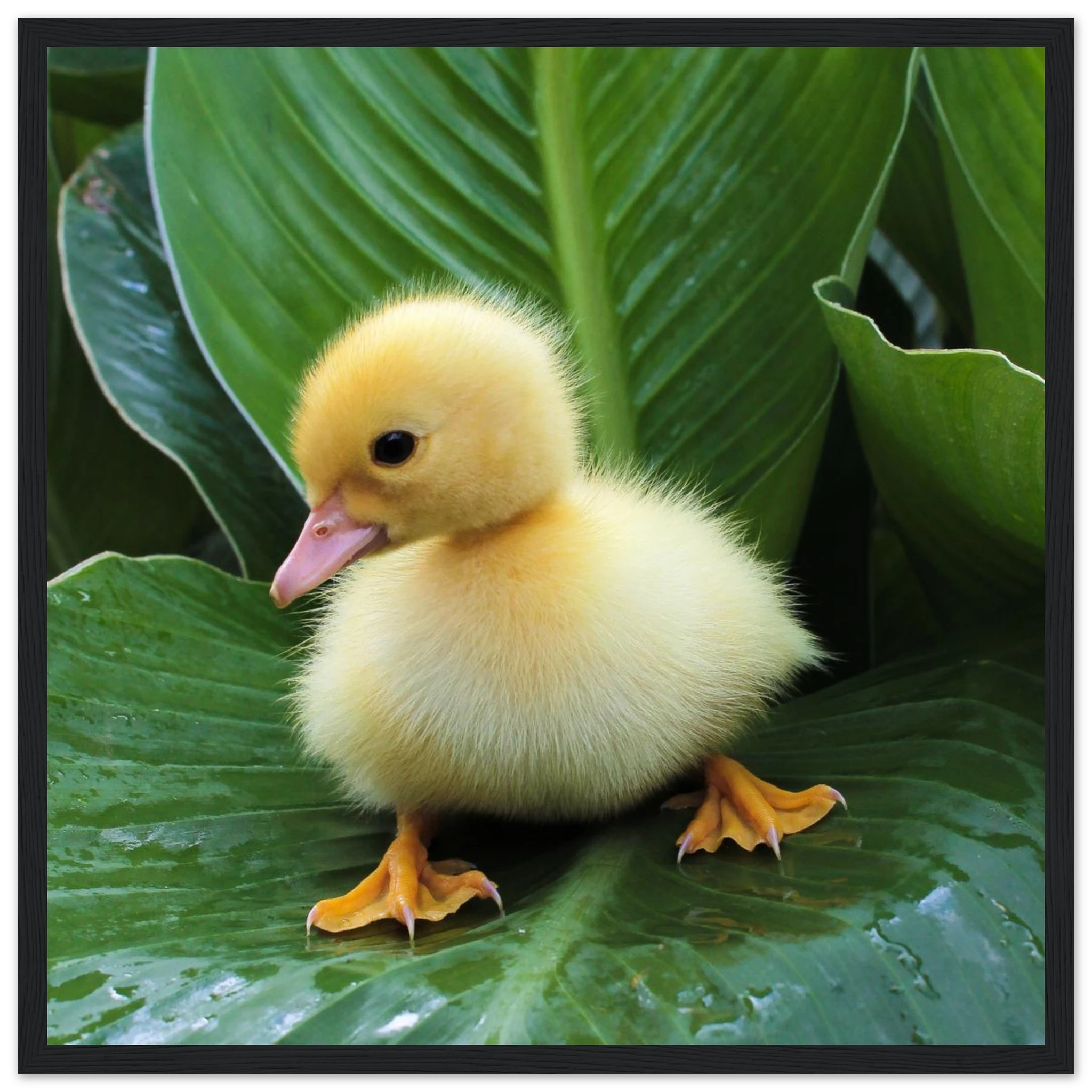 bcc3ad84-d8da-40fe-ba50-6bc5f72615f1