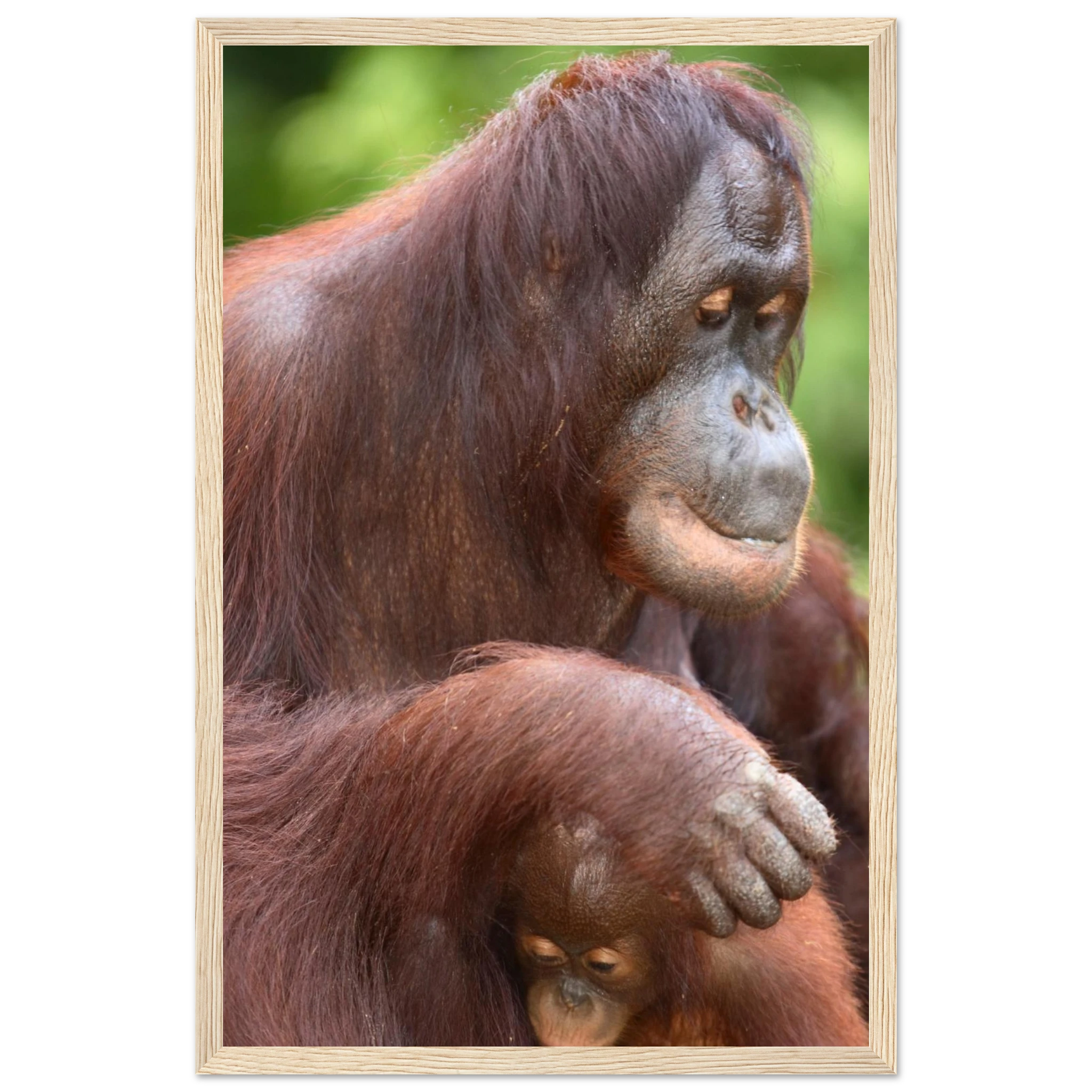 bcd173c5-39ee-4f5d-ad4c-99199bde20c3