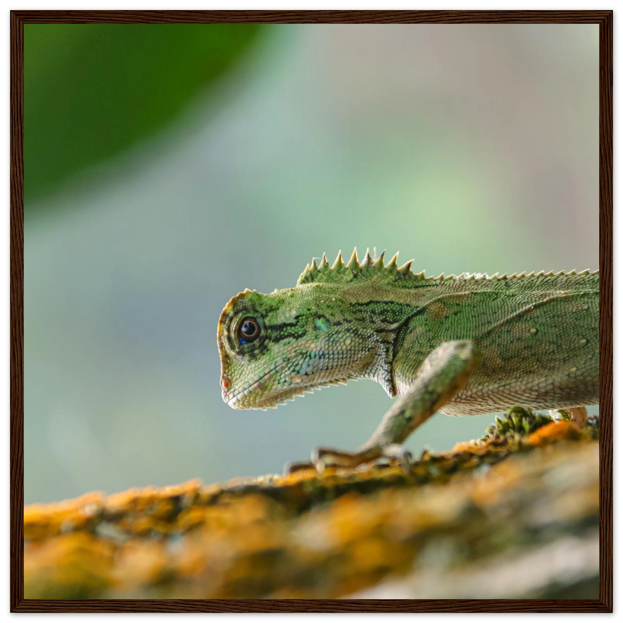 bd203aa3-47dc-4238-a8da-3db373c5a991