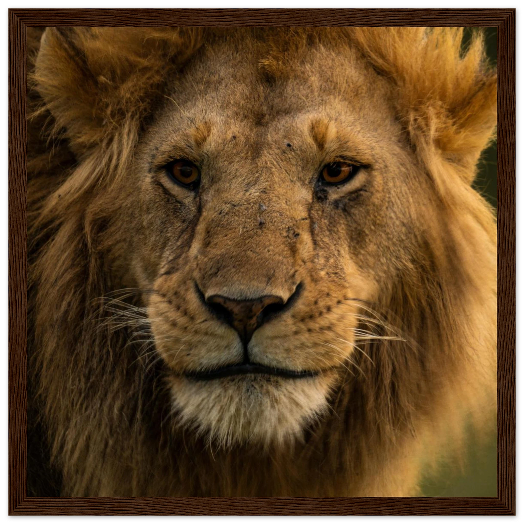 bd385977-9b8b-478c-87db-6c1d827d5afd