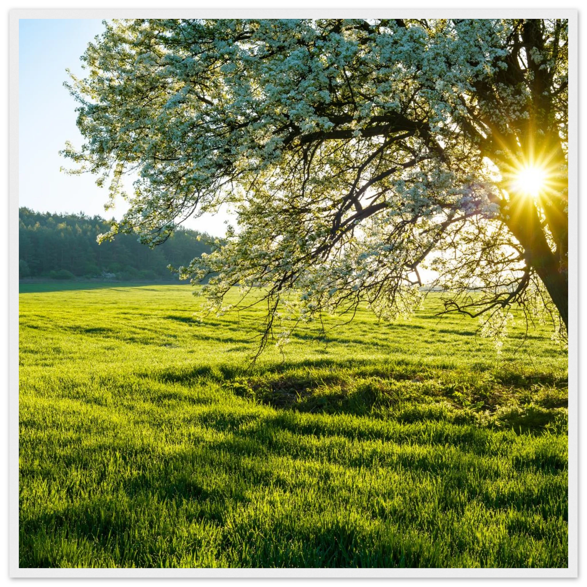 bd4248c8-7ffc-4ff8-9a8d-e9f12f89f5a0