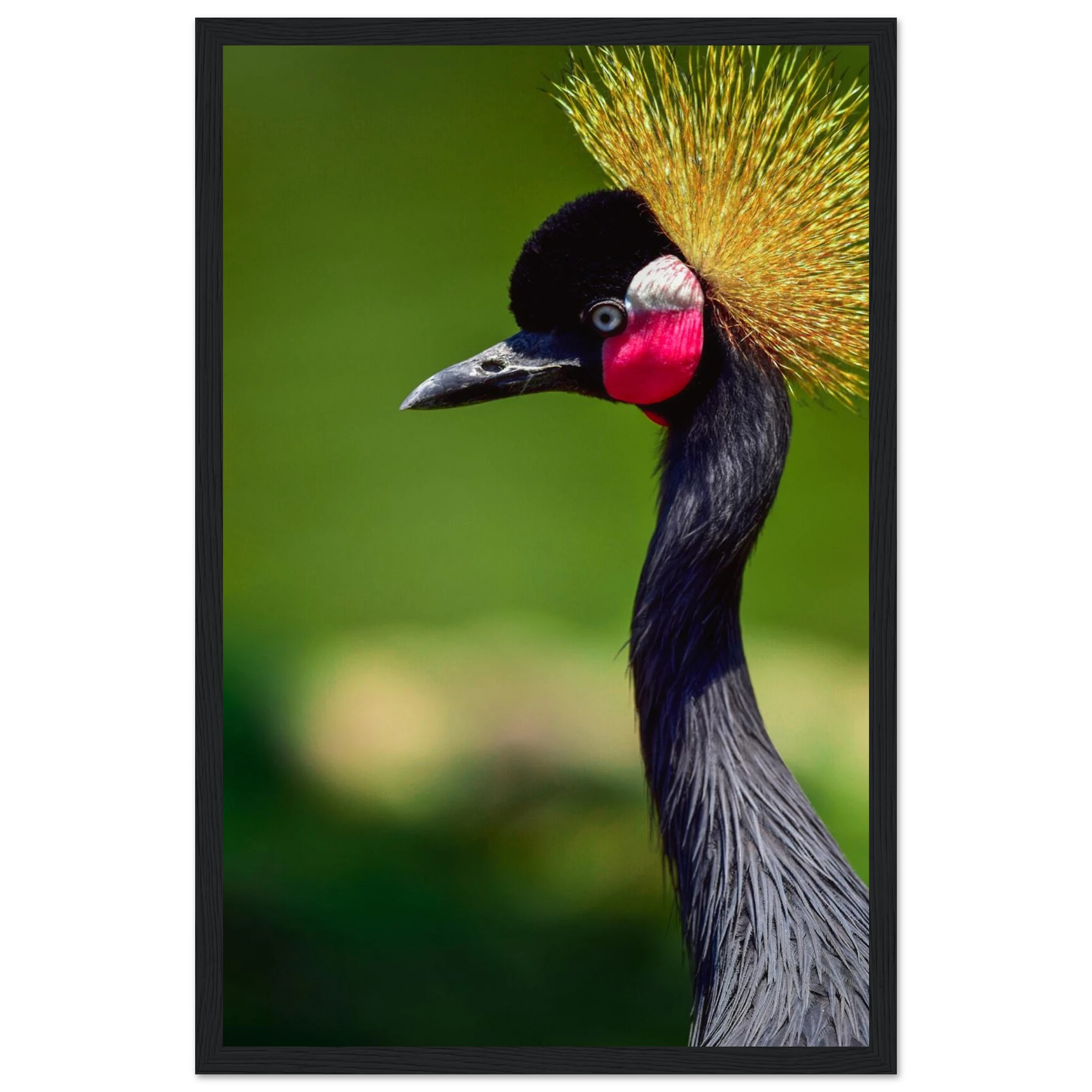 bd68b383-4a2d-41ae-a1a1-e64d36099e3a