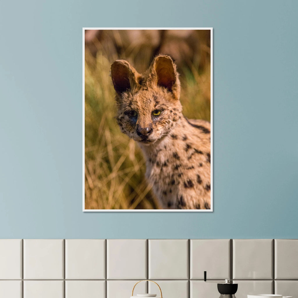 bd84528e-d934-47f9-a3ed-0475a7076638