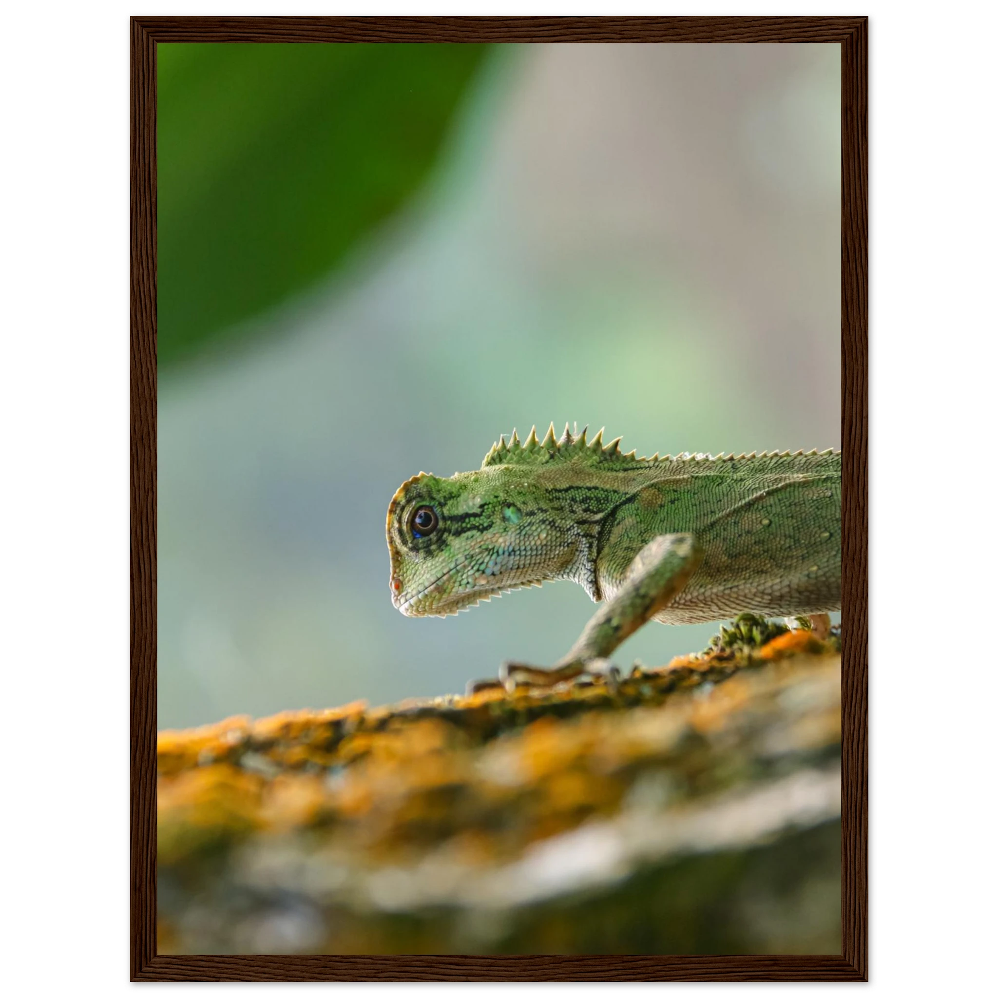 bd8ae4be-e883-4aa7-bdf0-5fb776db3918