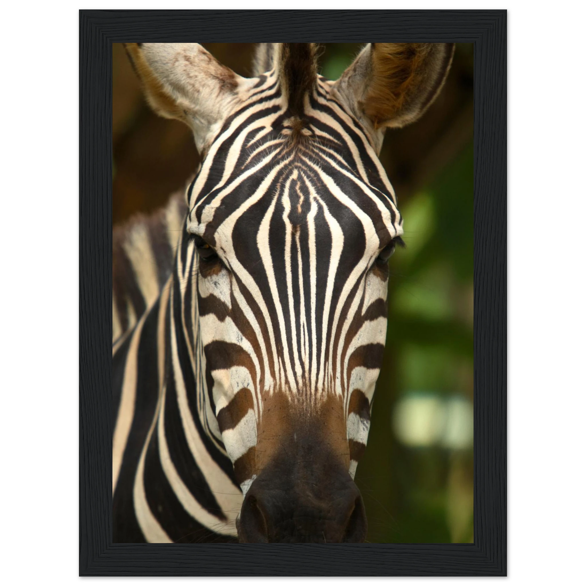 bd8e177d-6ae9-45f0-b7f2-cc04131ec6b9