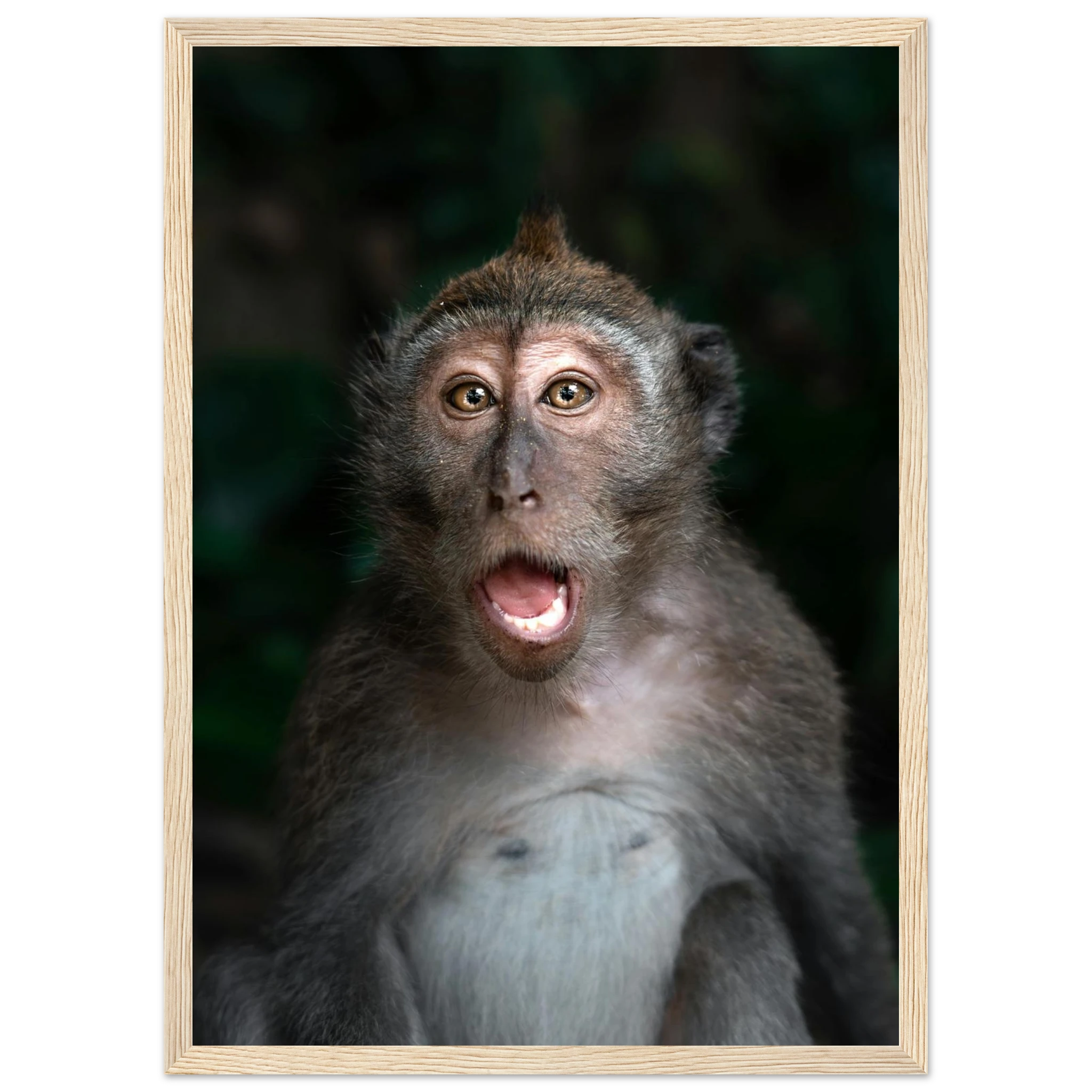 bda76769-923e-4c6b-aaf0-e49608e7e901