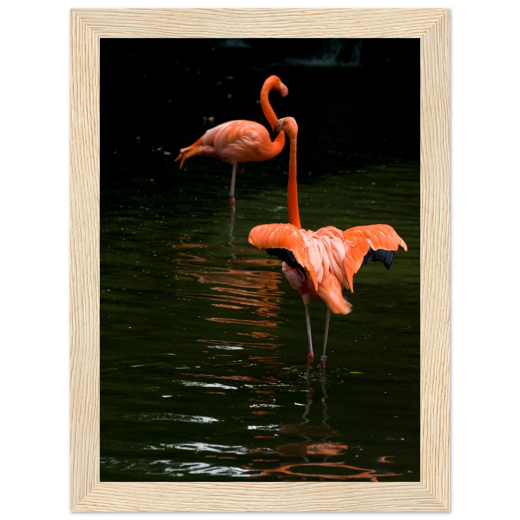 bdb3cd68-587a-4bff-8a3d-9084f72a480c