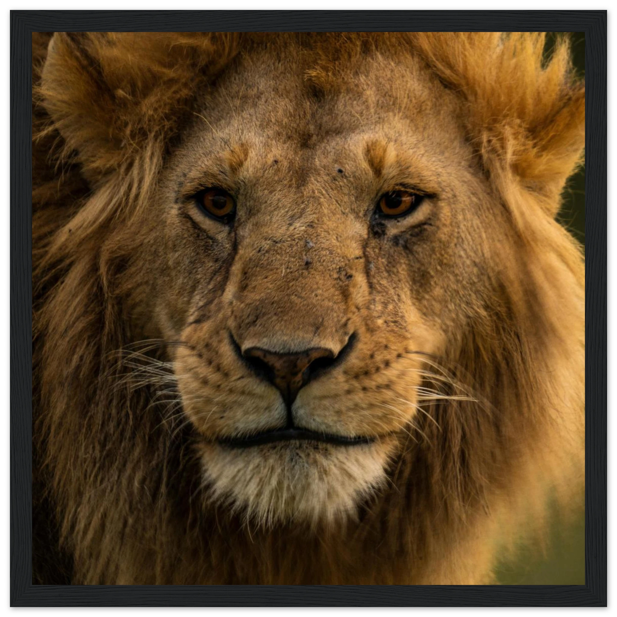 bdc3b08d-b4bd-4e93-80f9-e142def7401a