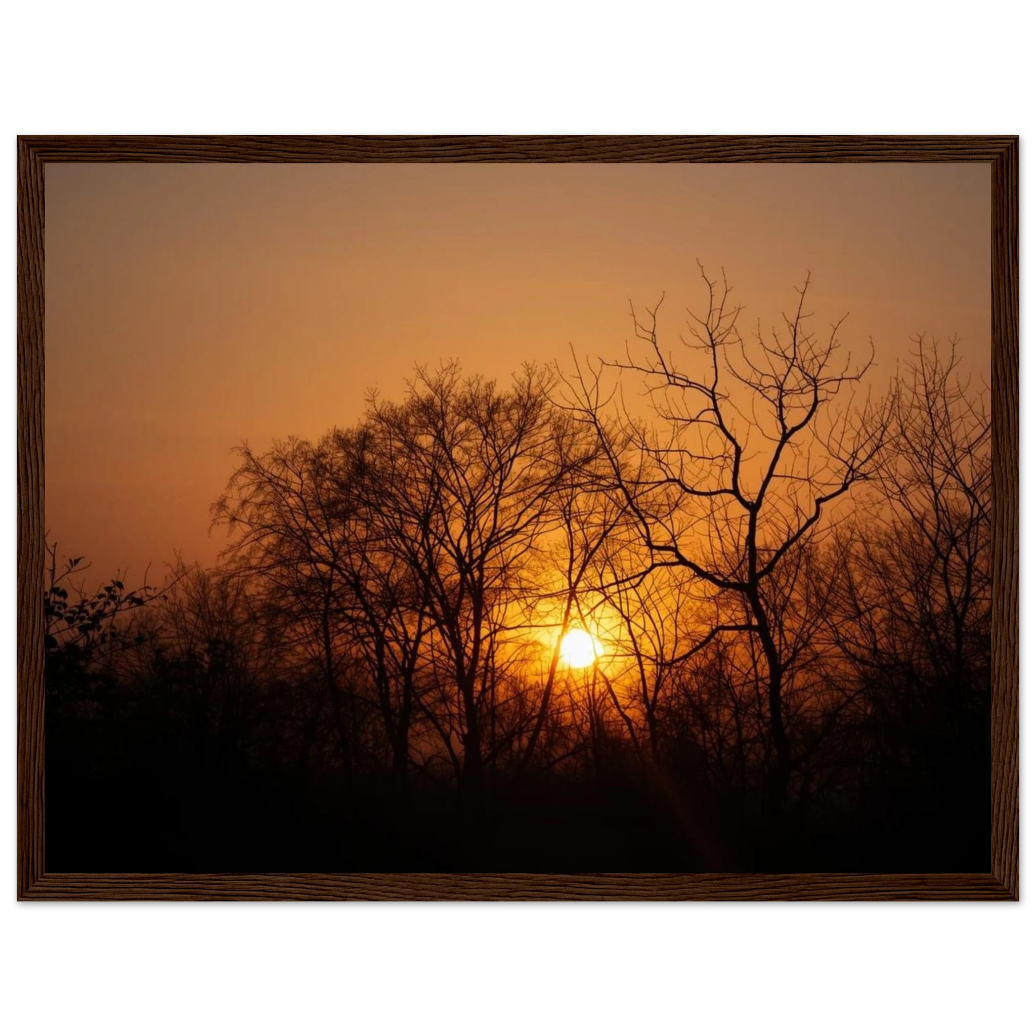 bdde2536-2a30-46d6-a676-0680ccfebd35