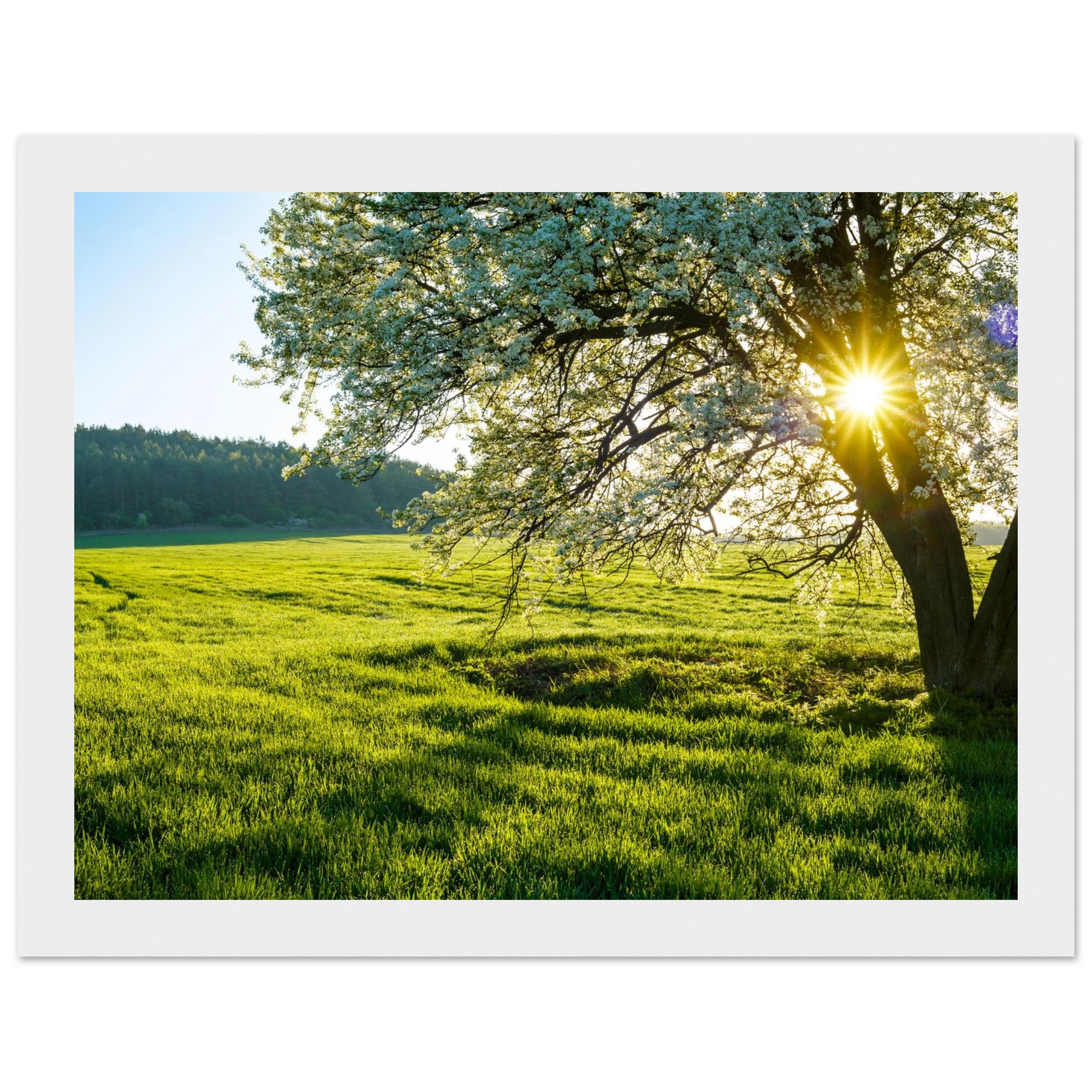 bde09f88-19c0-4472-9f0c-58ac179f930e