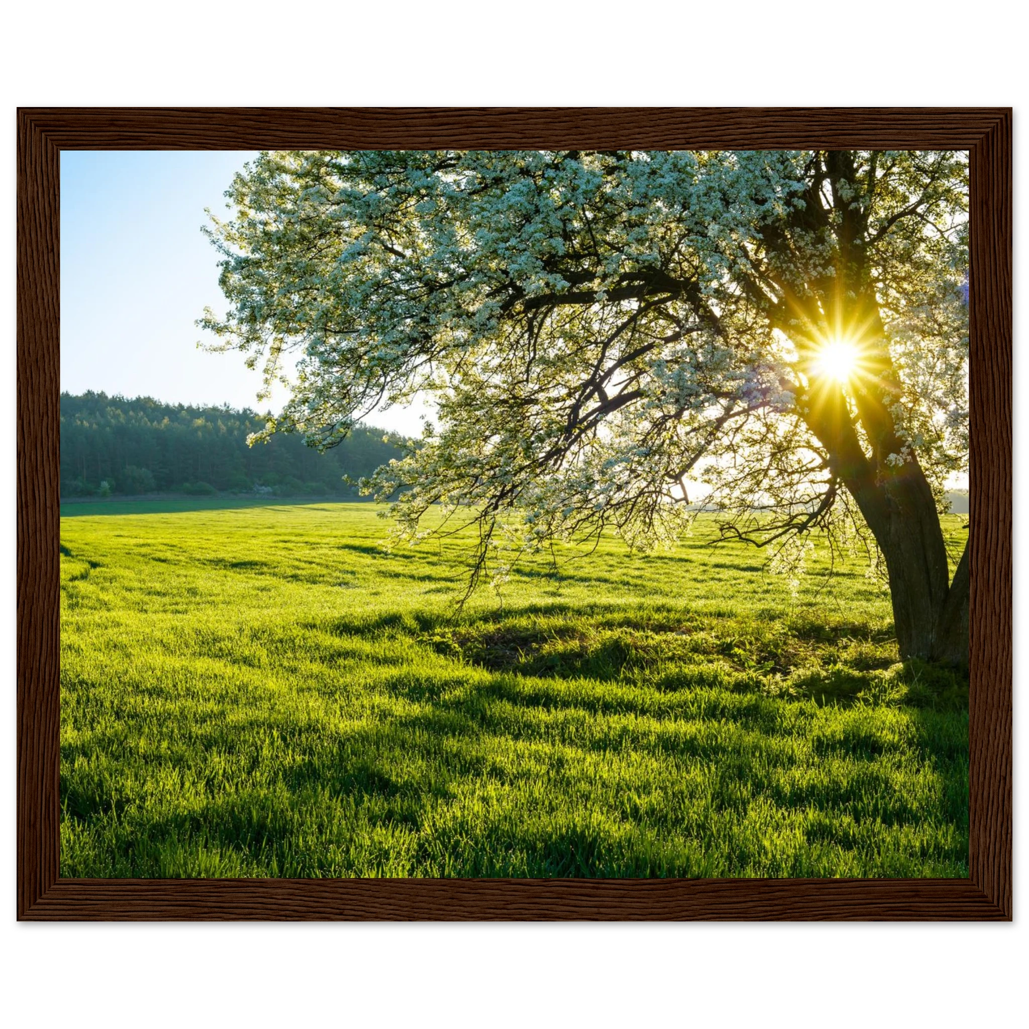 be0d3eb5-2274-482c-8eb9-d0f227ced61a