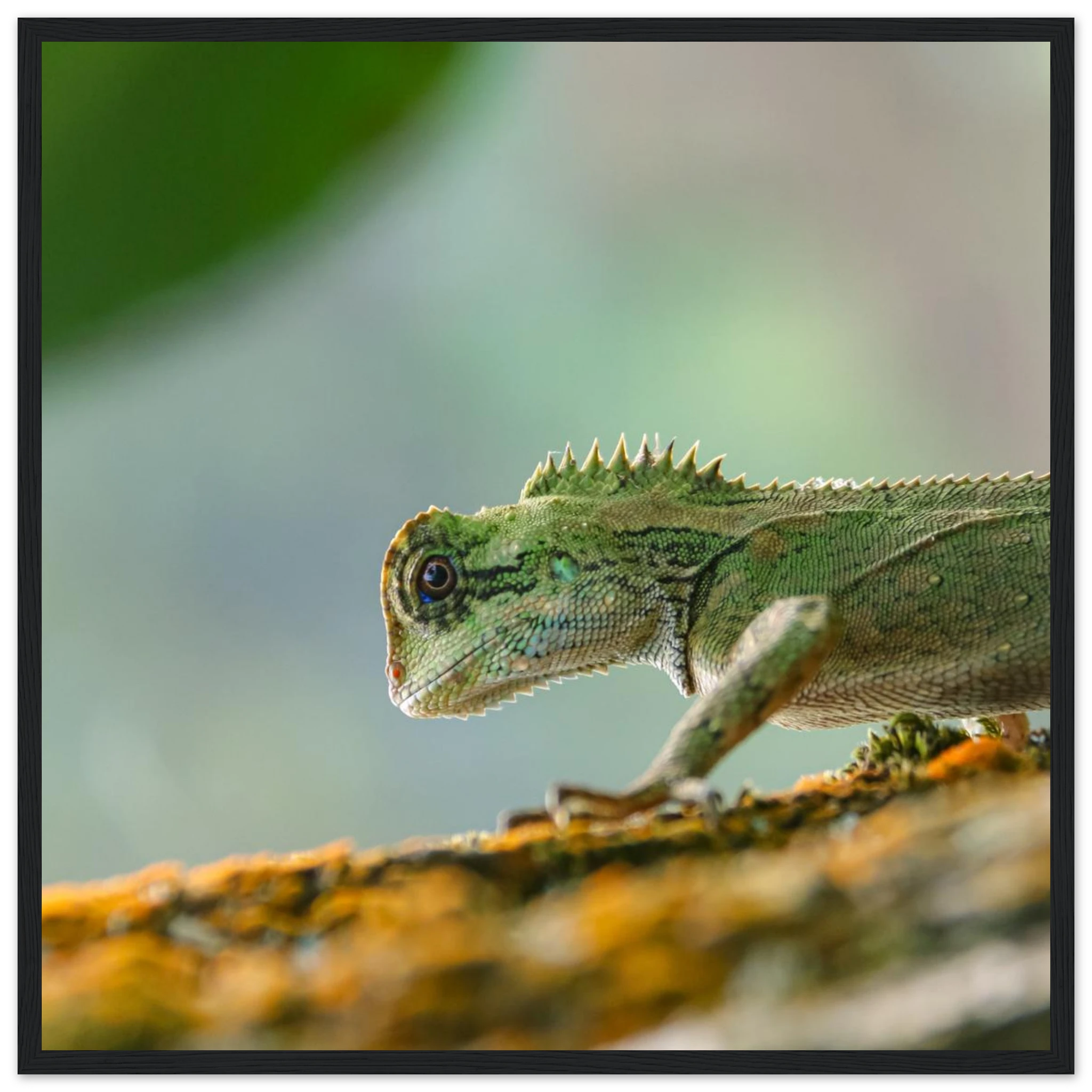 be190f76-629c-4639-a459-fdaadfd383d8