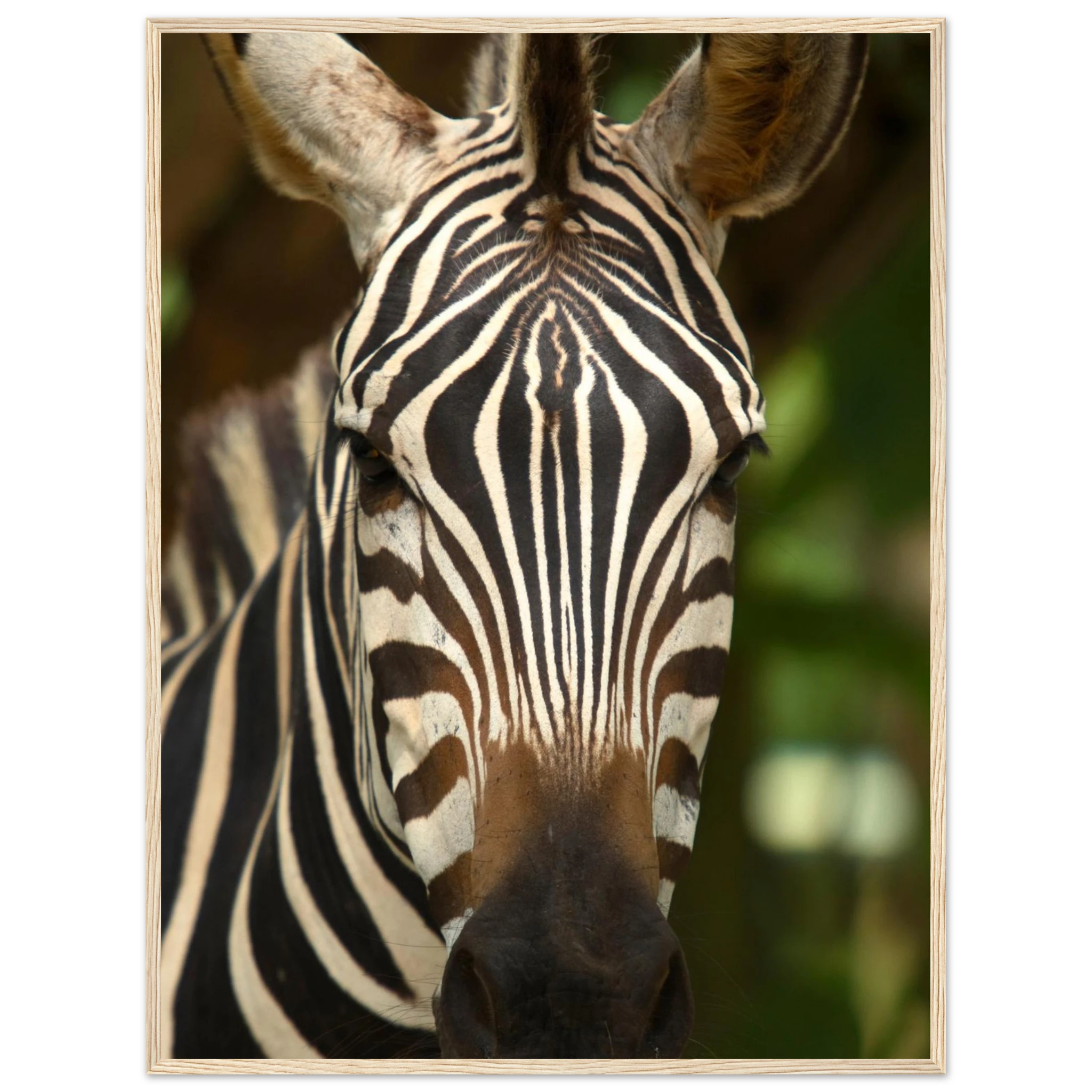 be3c0635-1fa6-45fb-b125-72d82b276452