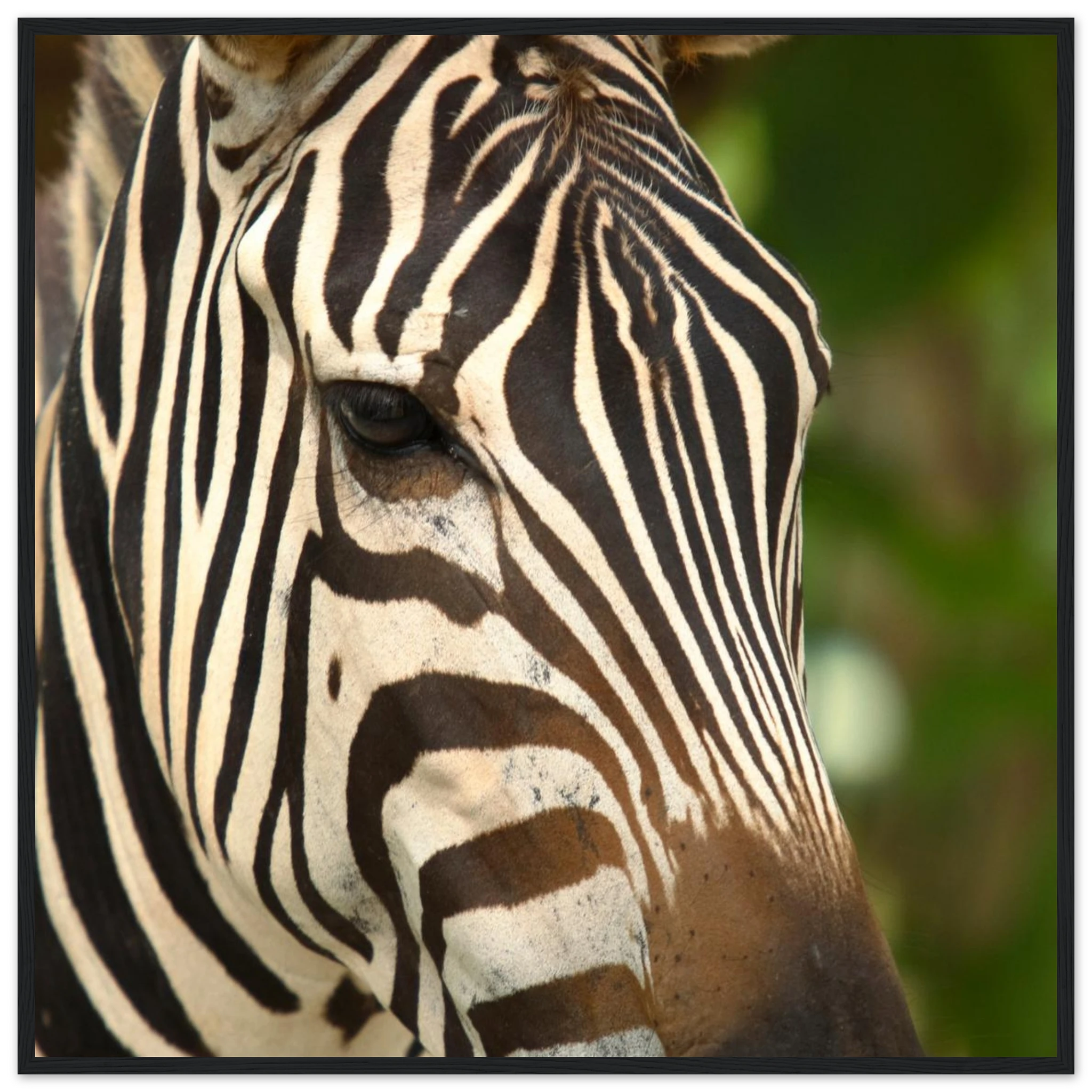 be515a43-542f-4967-8c83-8f20ca9bec91