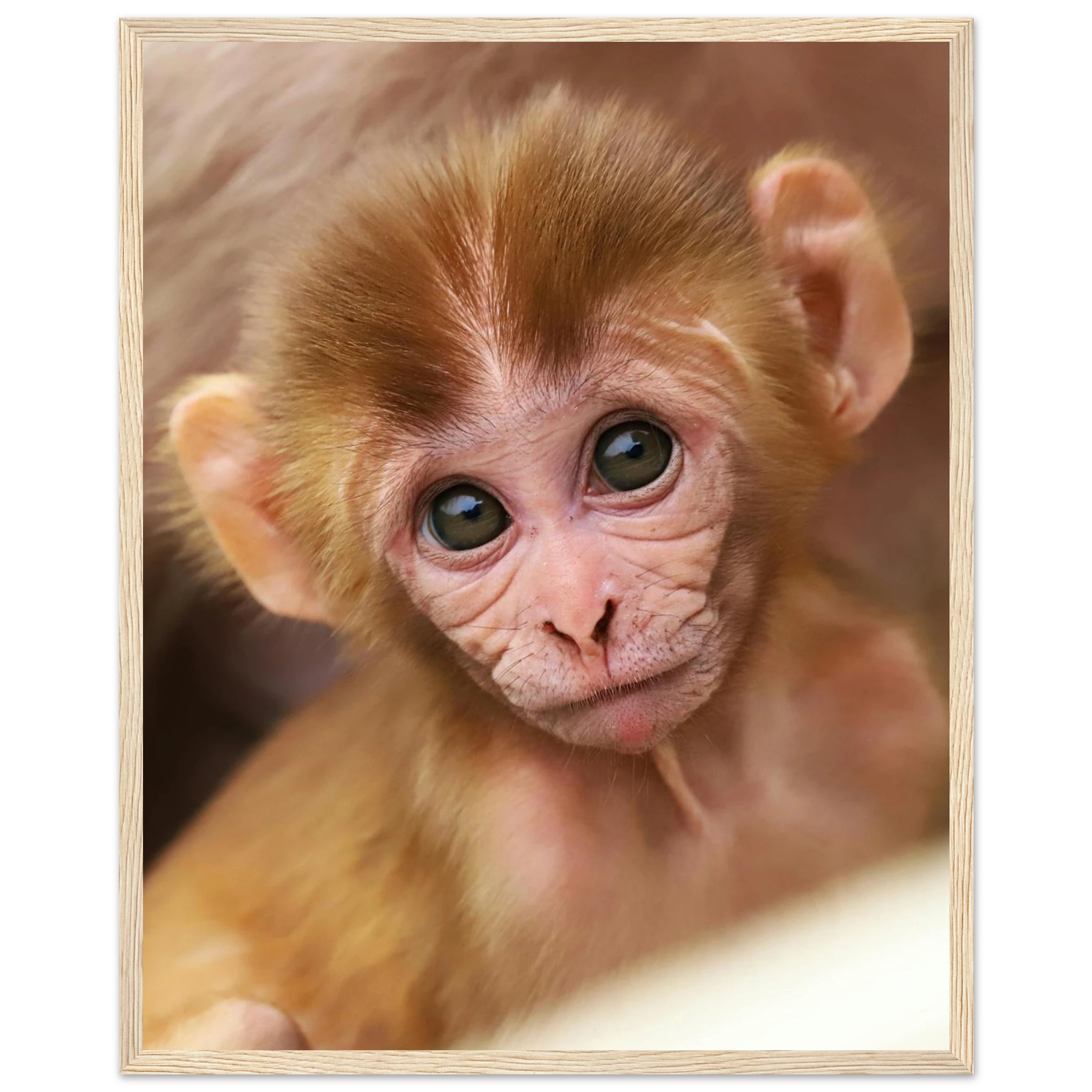 be7ba411-8fb1-4365-bbfa-b2bf9b1ed3e3