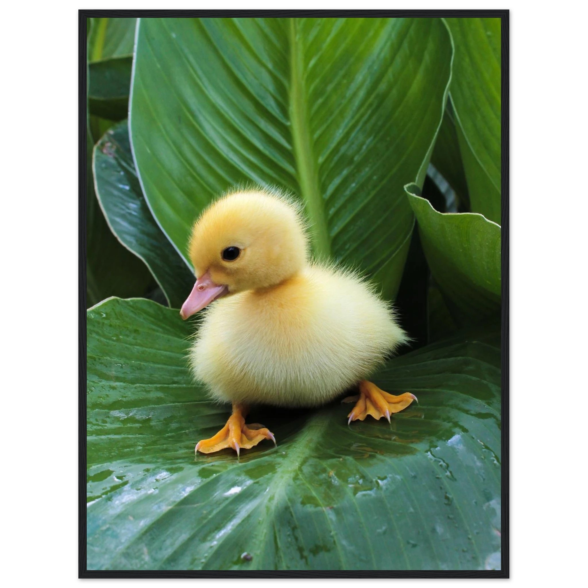 bea6e0c1-d02d-4700-bcda-f33e2eb20146