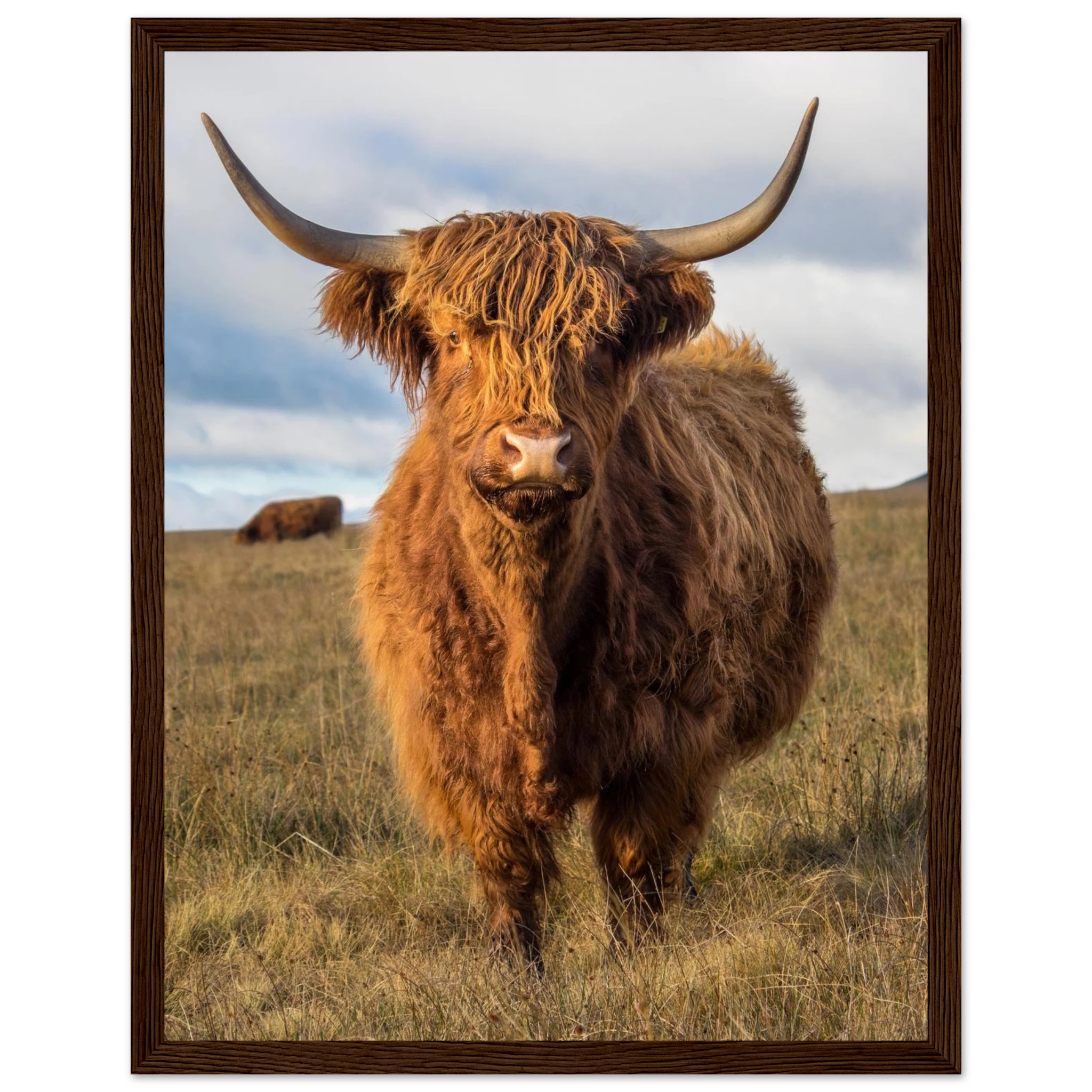 bf445f96-9830-40de-8dfc-154bb5fc40a3