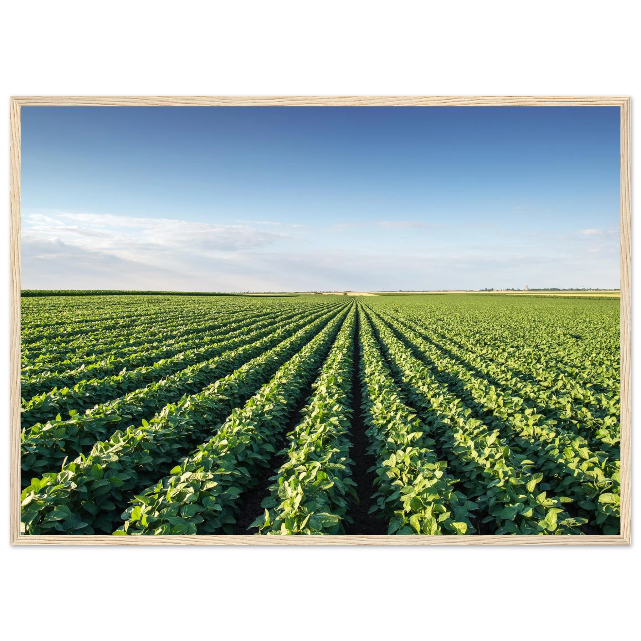 bf45d8e1-c4d7-4eb6-99b8-014bb36aca10