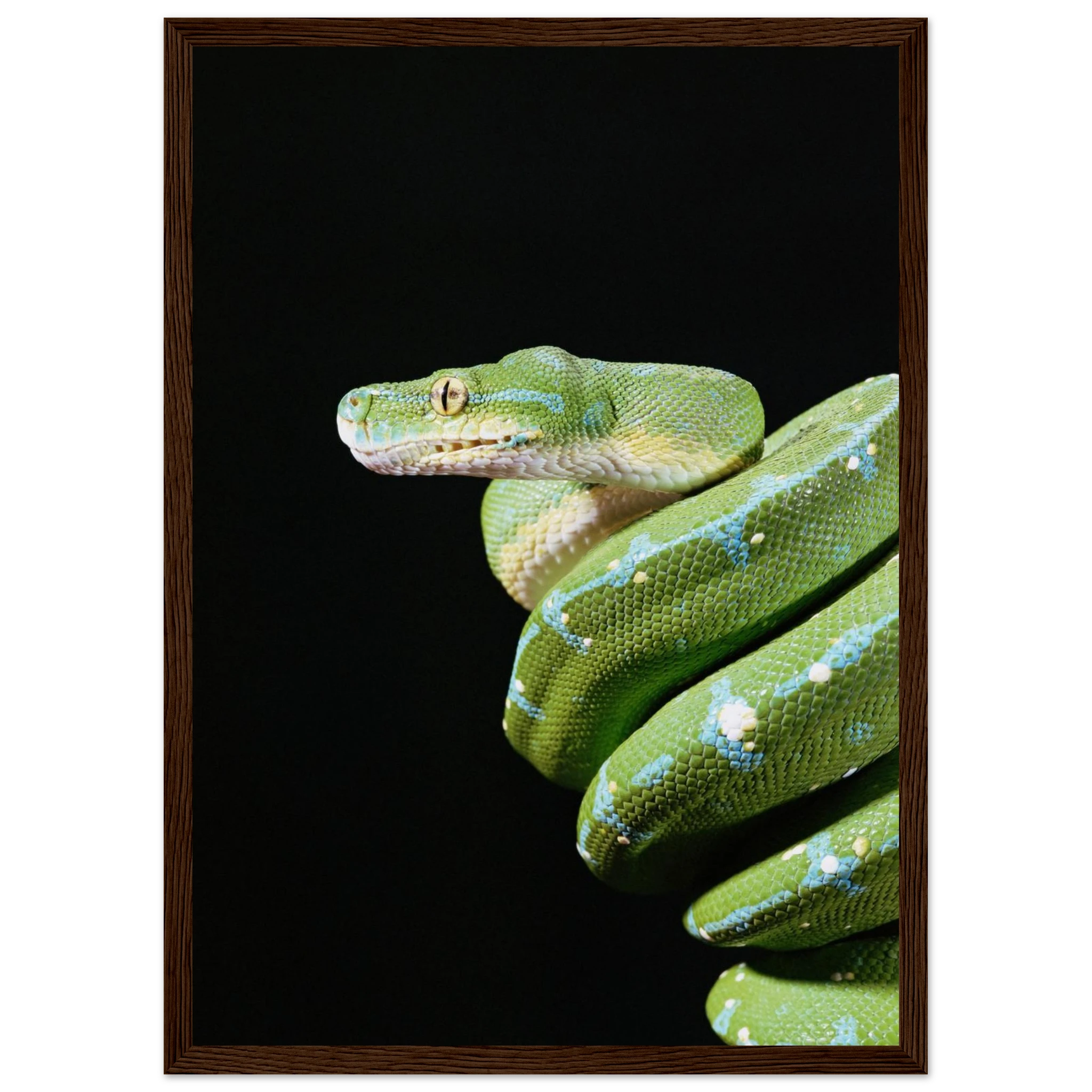 bf487fe0-15b8-43f1-b98a-1bdc8b502666