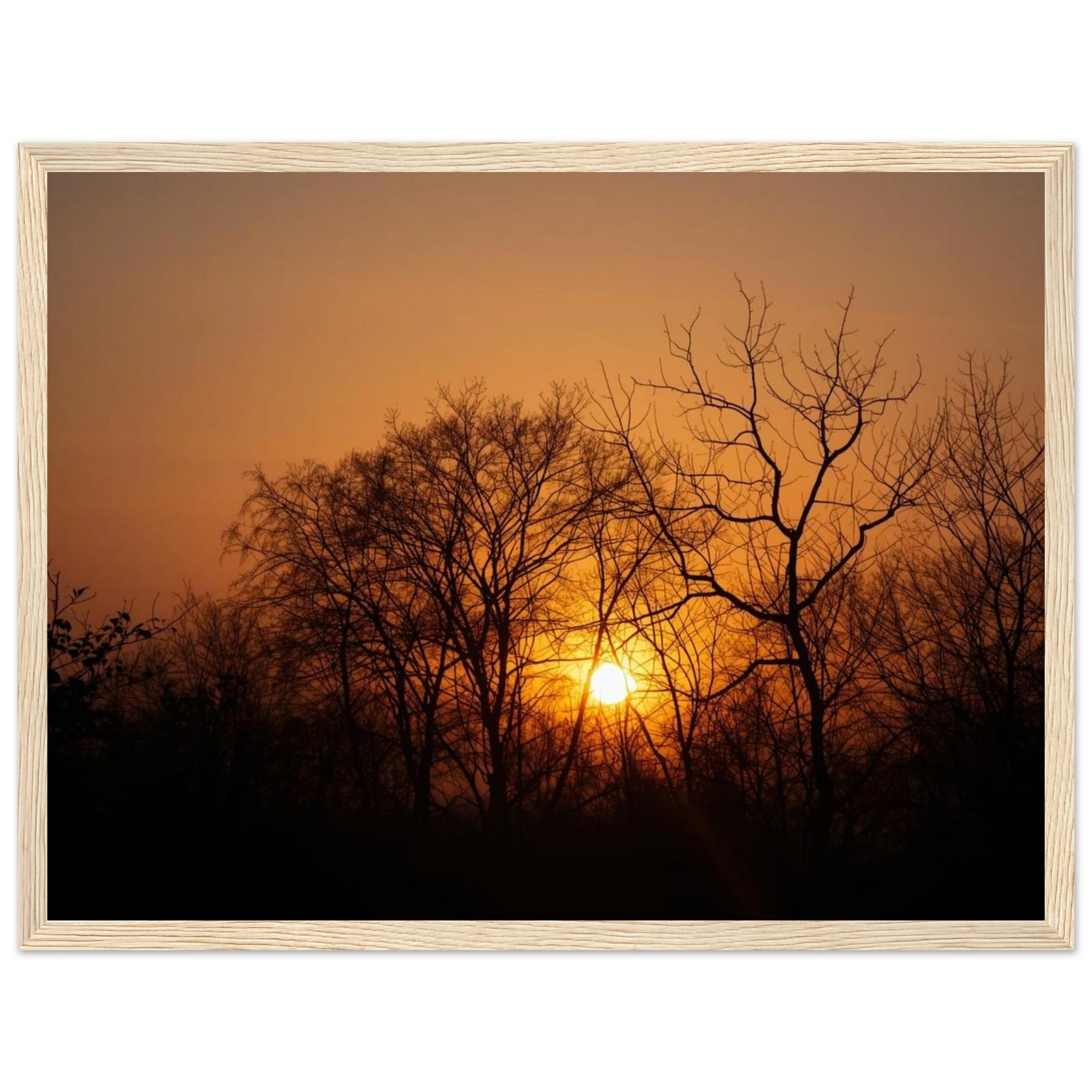 bf4b81c8-fcc1-4a84-b329-b16f98b23f60