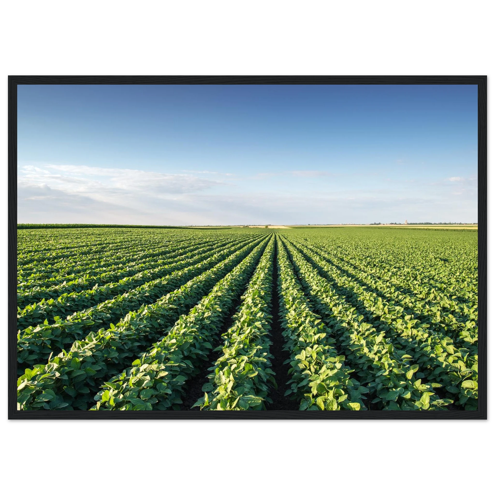 bf65eed0-417d-4eec-babc-58d68e960700