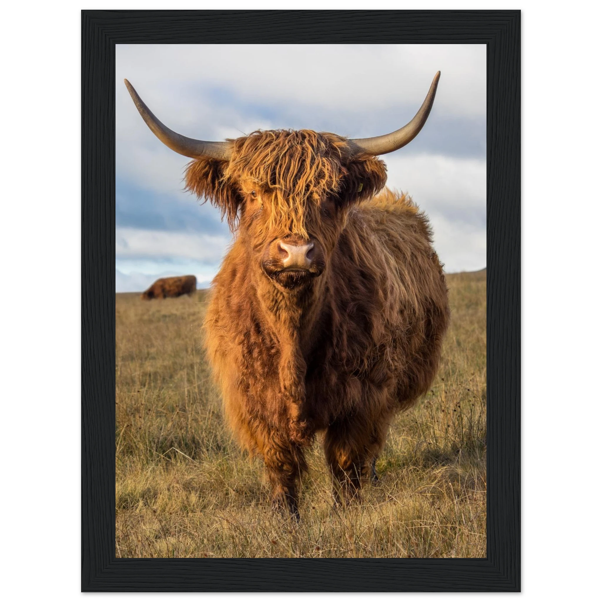 bf69a59a-7b36-4b71-9ca5-4e011d488af0