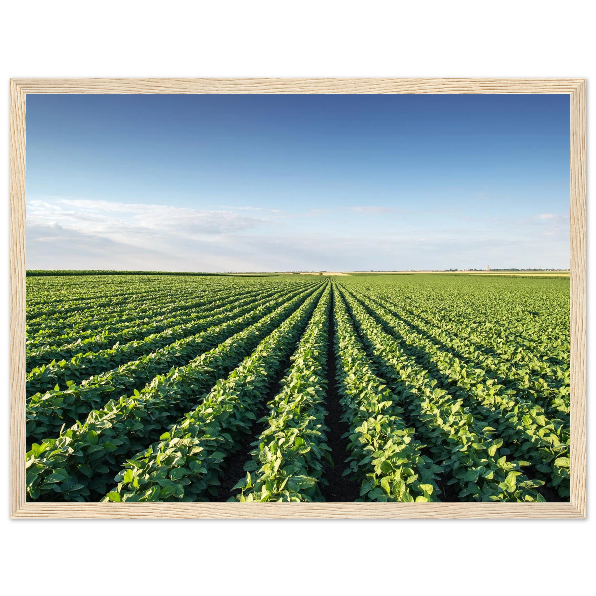 bf6ee351-725f-4c7f-a3e1-04b1e6e696ff