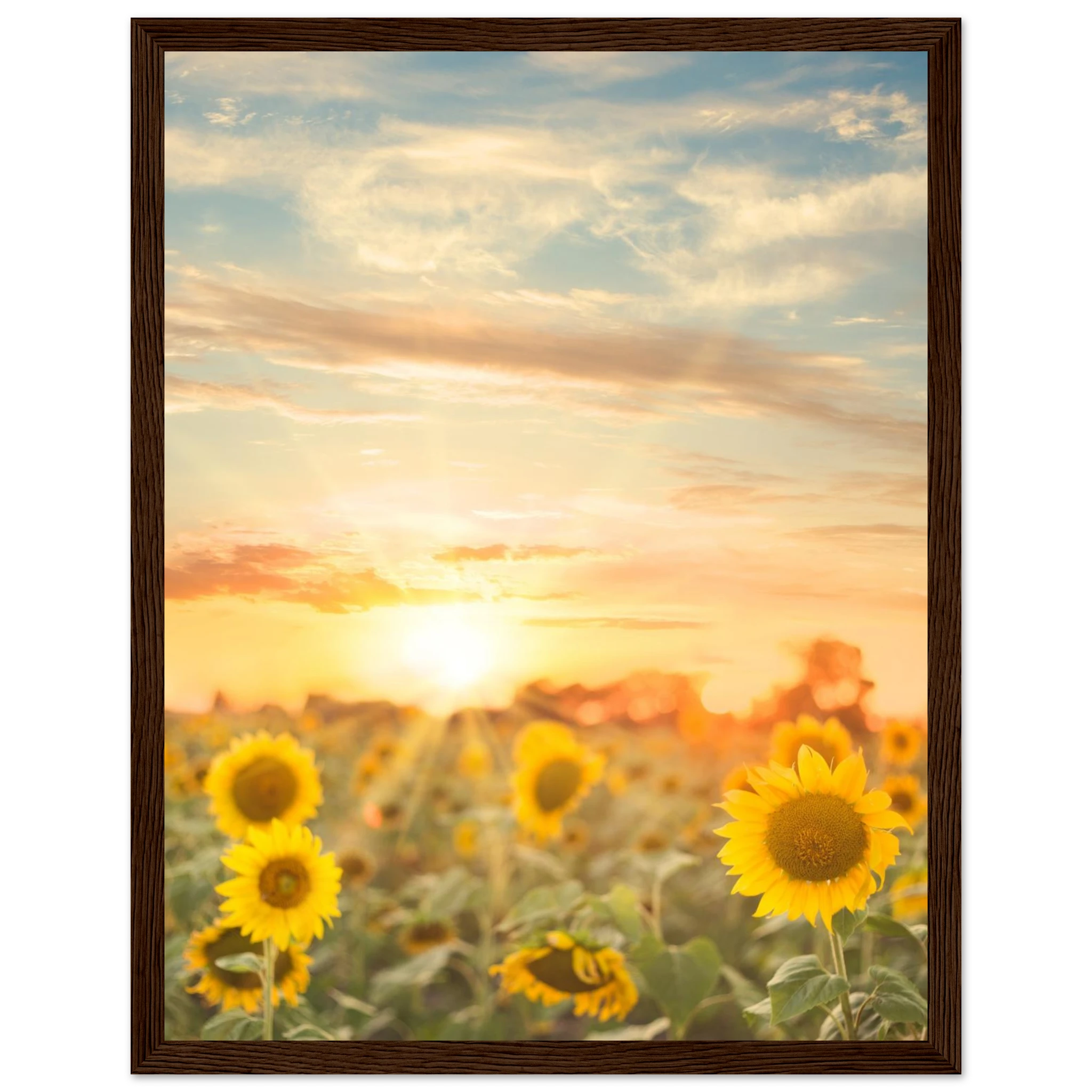 bf83e3eb-1a83-4706-bc00-169ee6b27e65