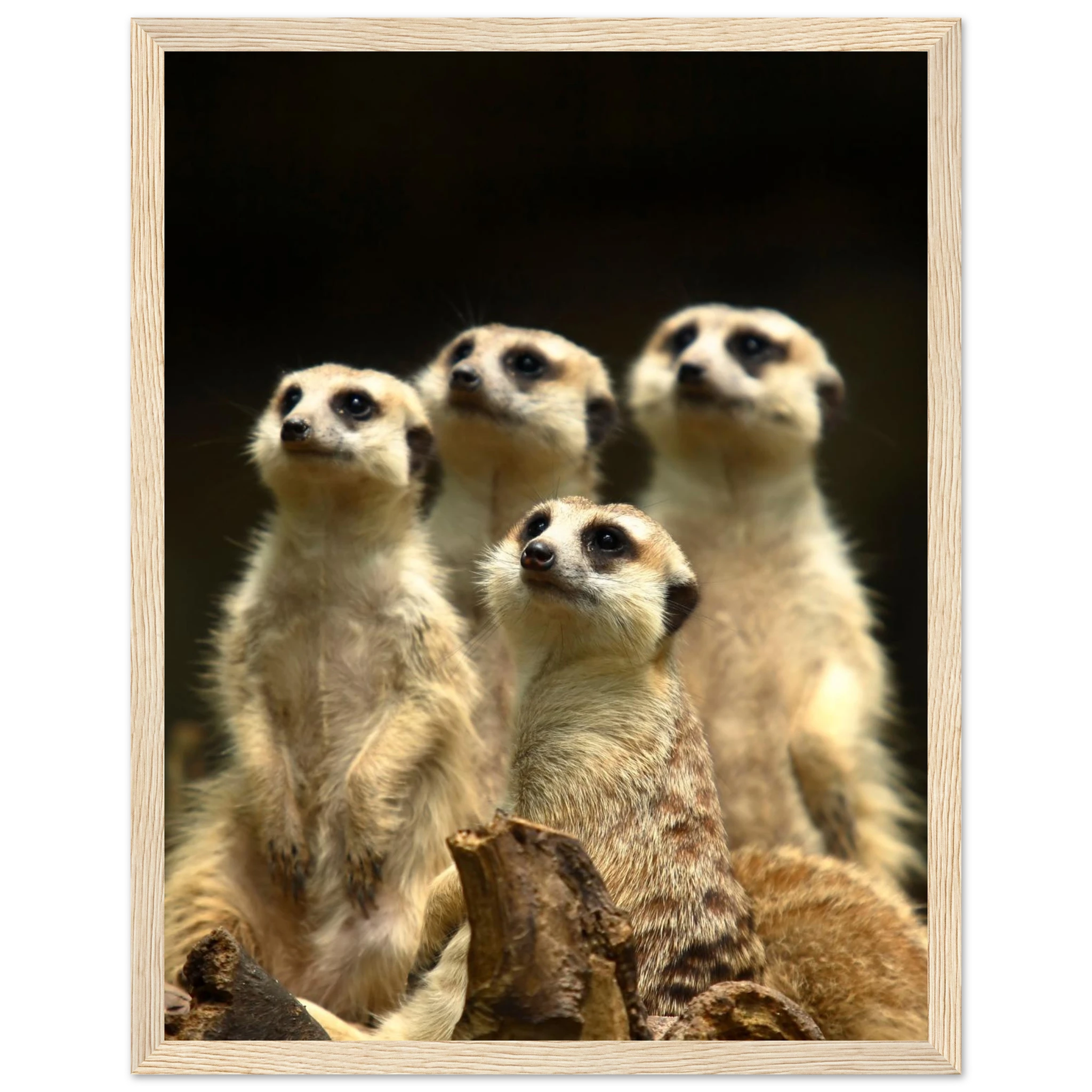 bf8f8b30-abbd-4bab-b095-5b349f5c80b5