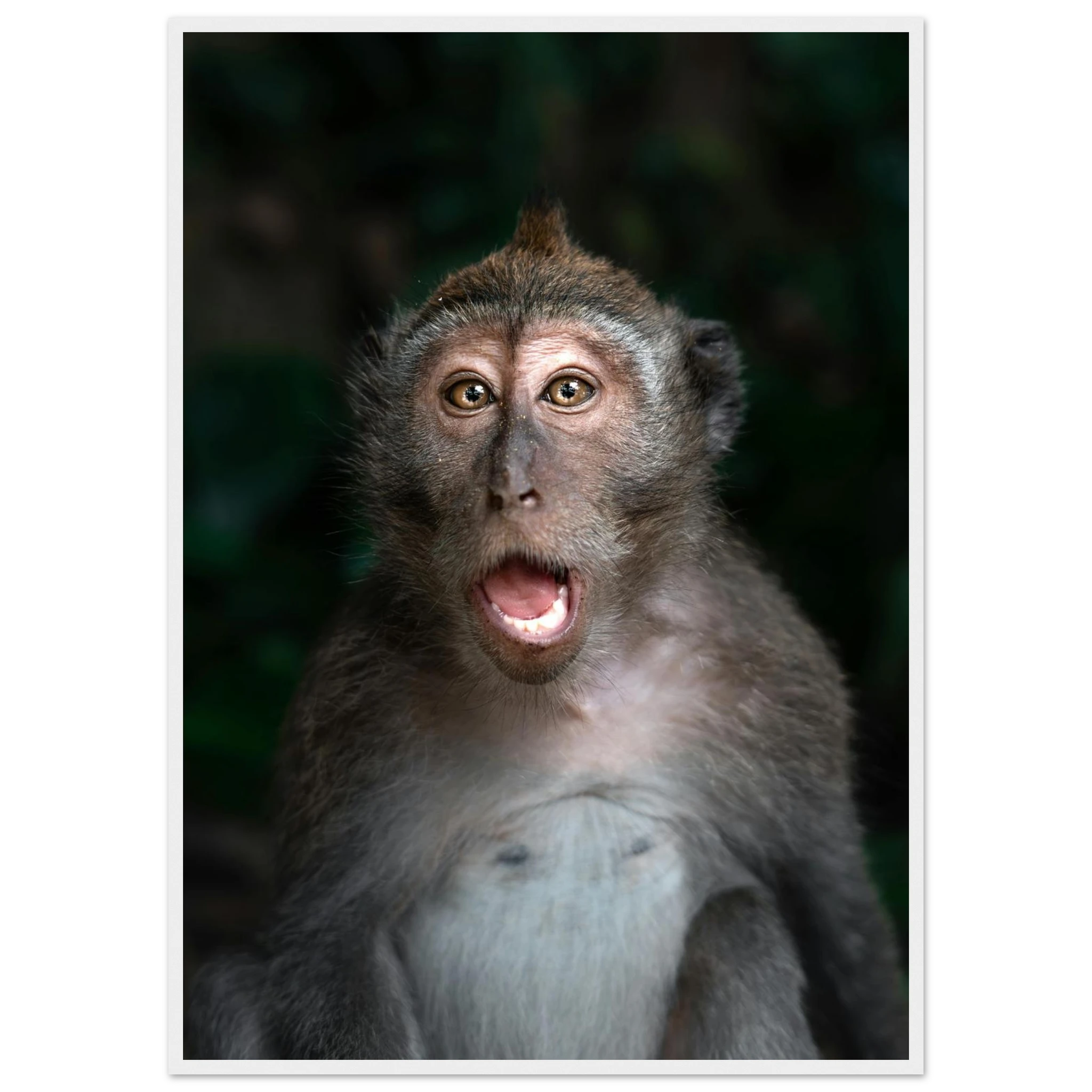 bfbe9b31-62da-406b-926c-7c83677308be