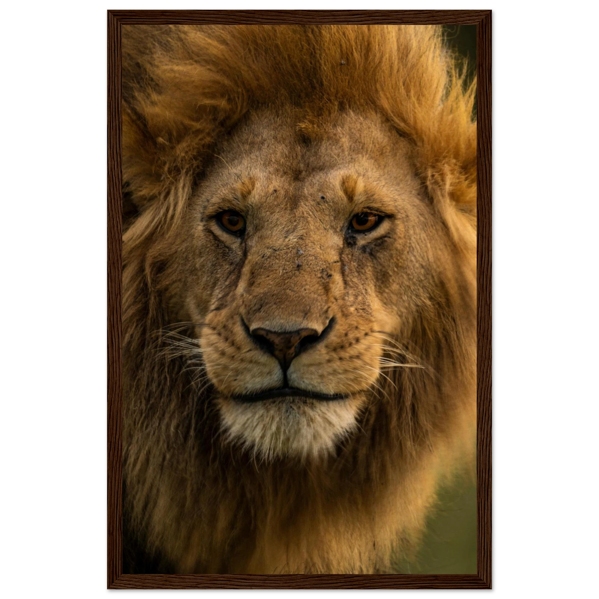 bfc04758-ed35-444c-8cf4-755997da6ff9