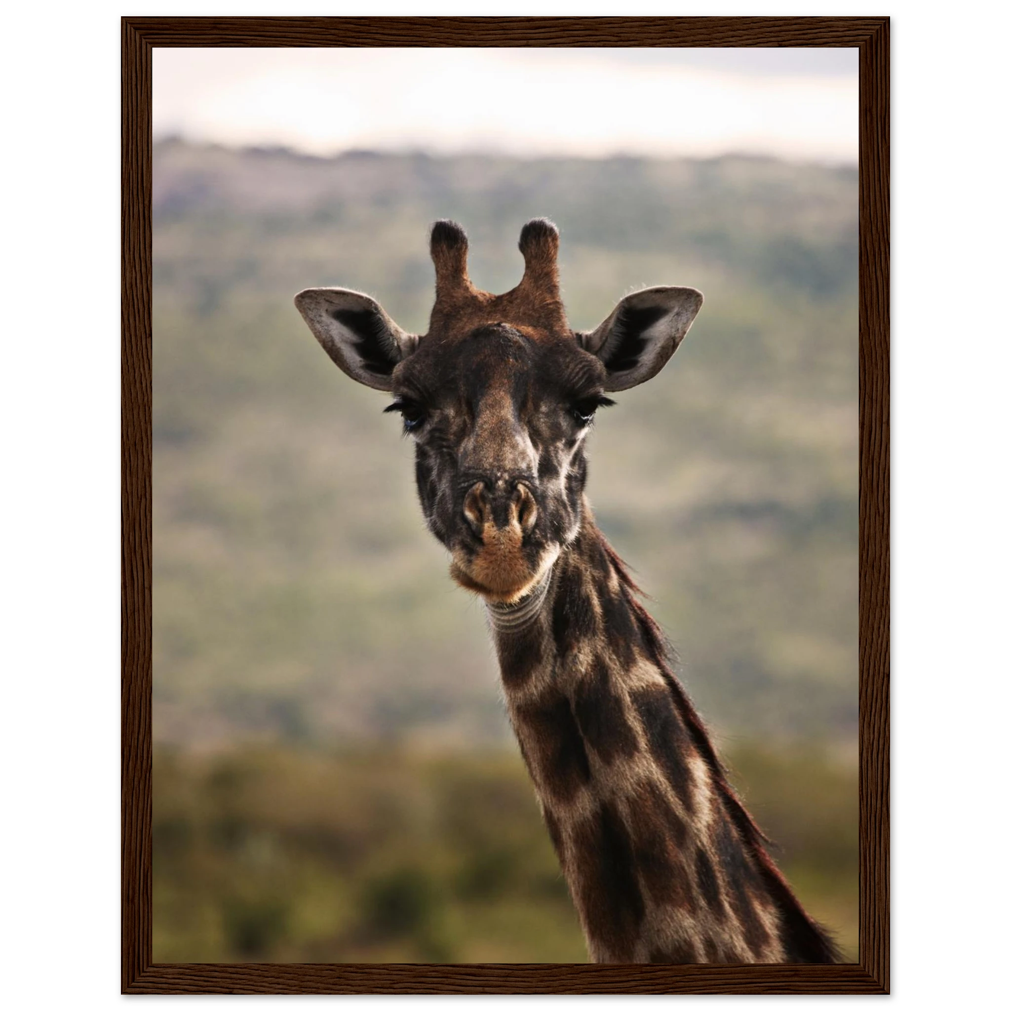 bfe5e318-2c19-47c1-a96f-1b55554184f8