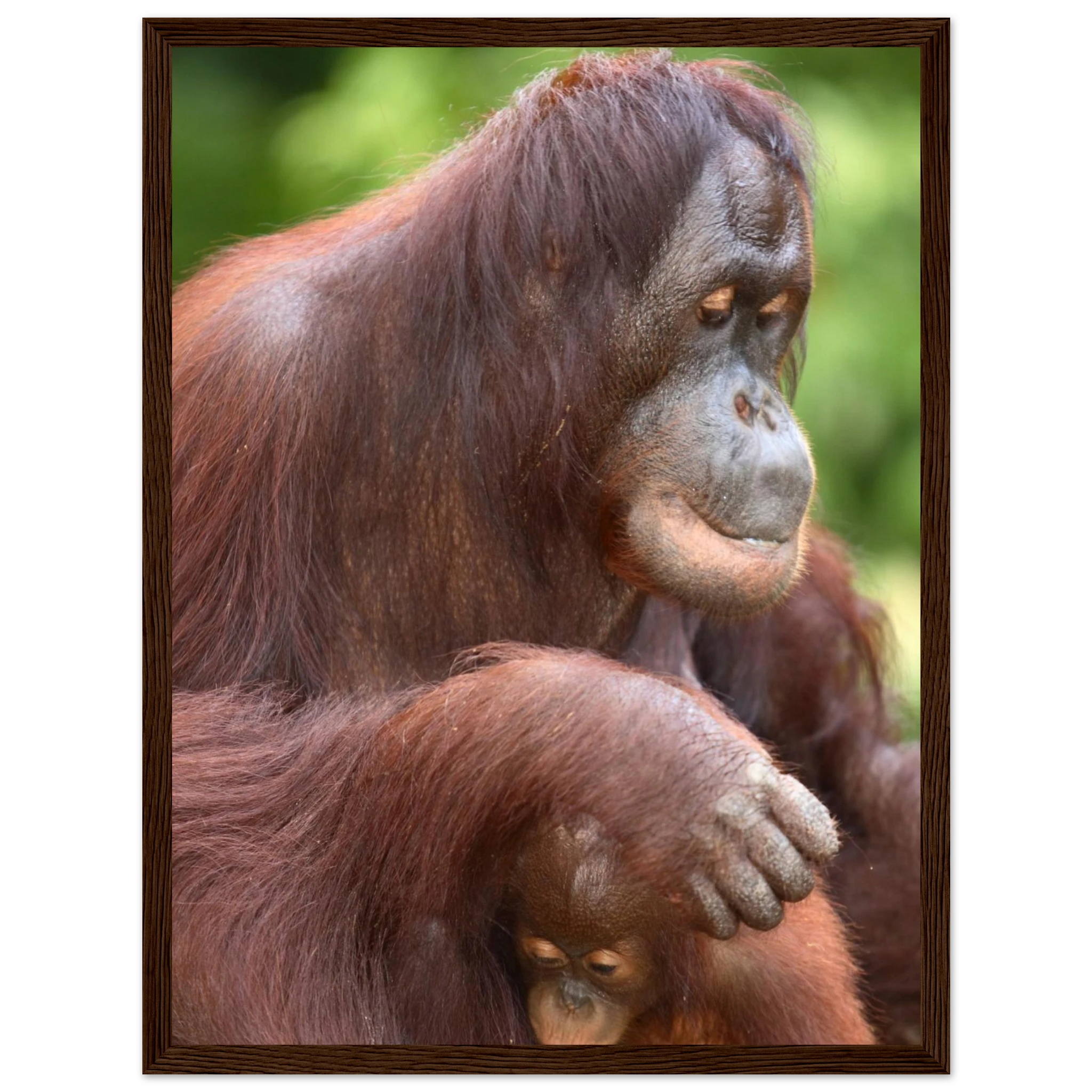 bff399e2-0a9e-409b-81ed-49d7d1587746