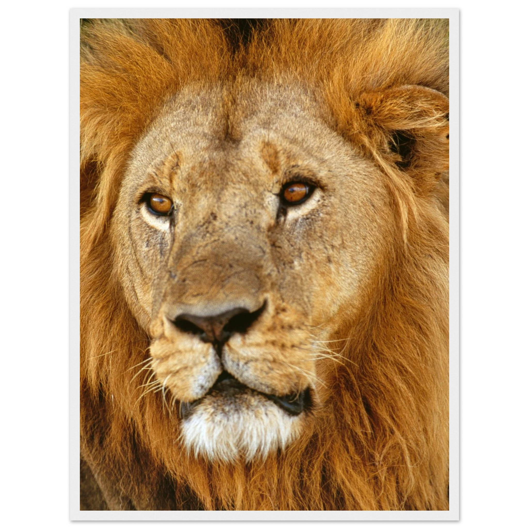 bff888e9-dc68-4a24-b179-b27d9b8f9b1f