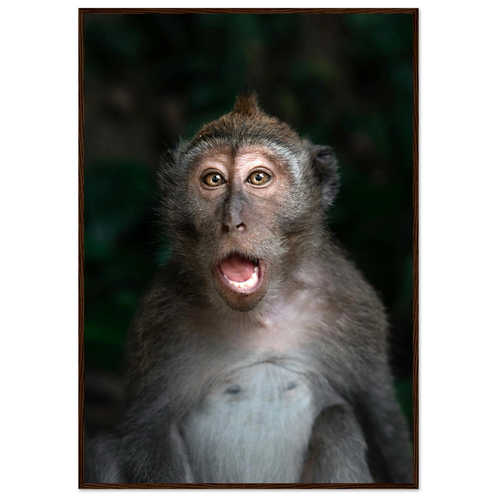 c03d5b0d-deca-4a20-99f3-6fdb478934c1